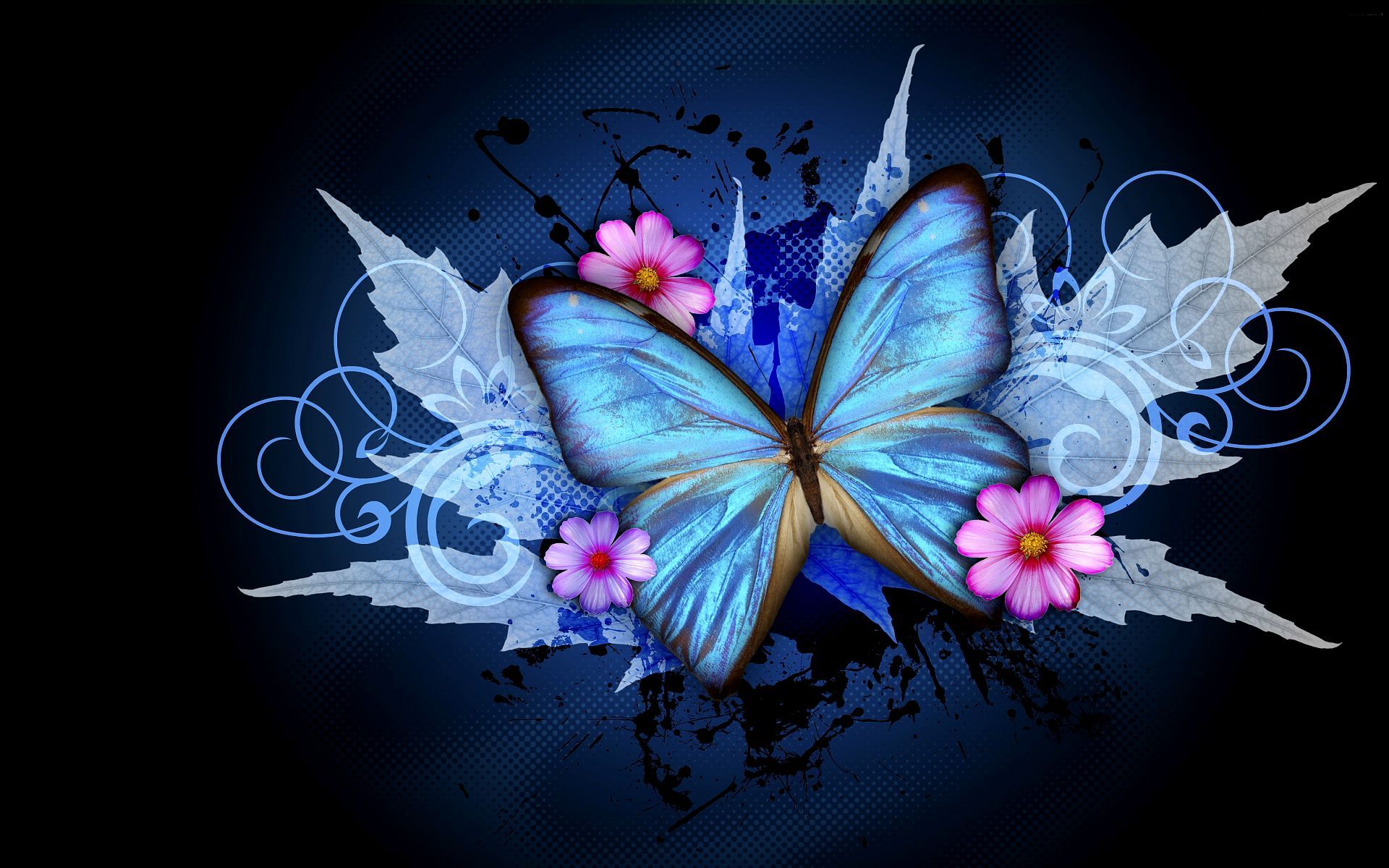 Flying Butterfly Wallpapers