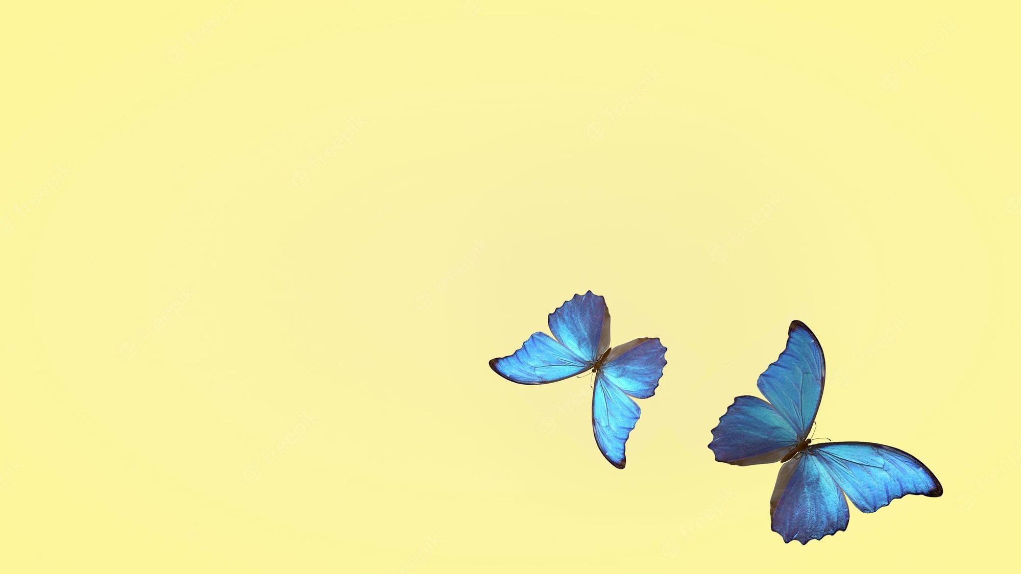 Flying Butterfly Wallpapers