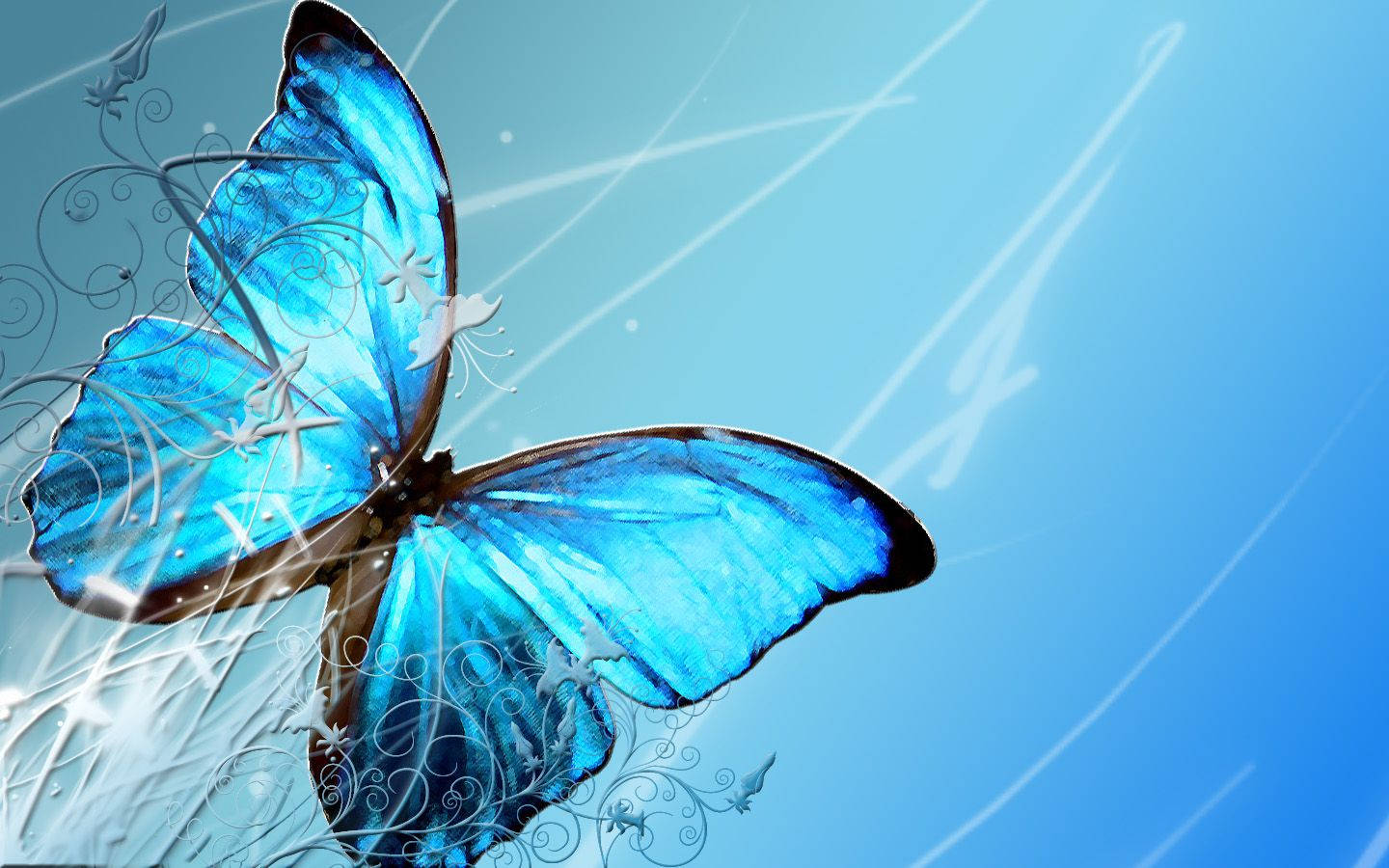 Flying Butterfly Wallpapers