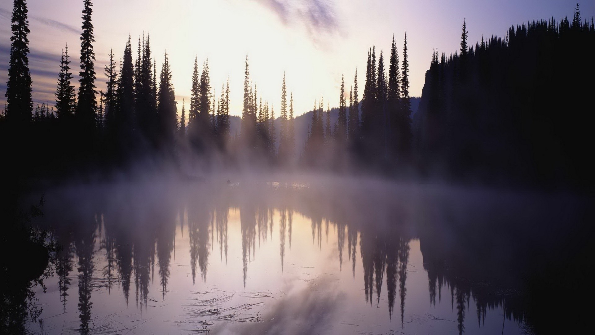 Foggy Lake Wallpapers