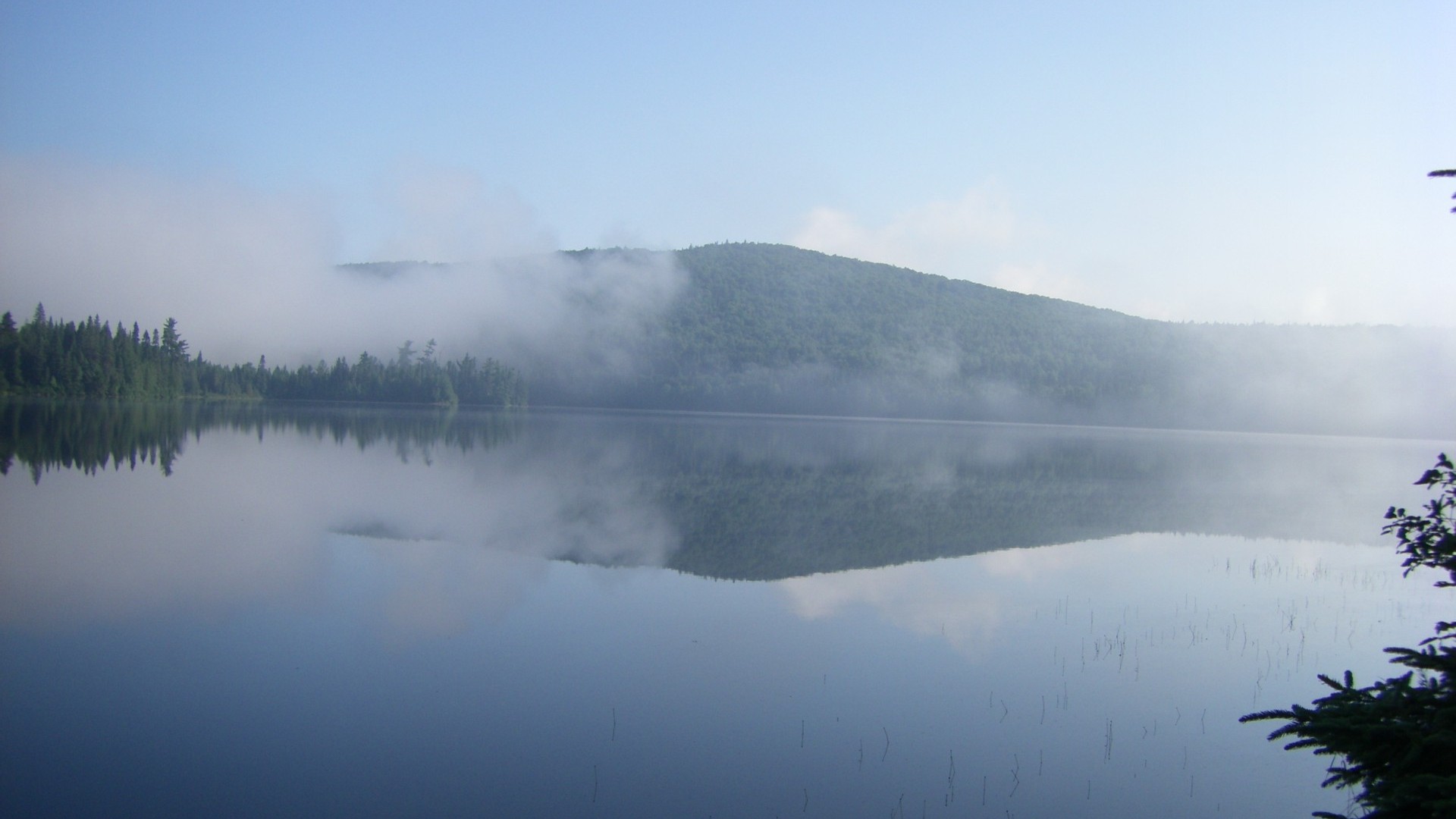 Foggy Lake Wallpapers