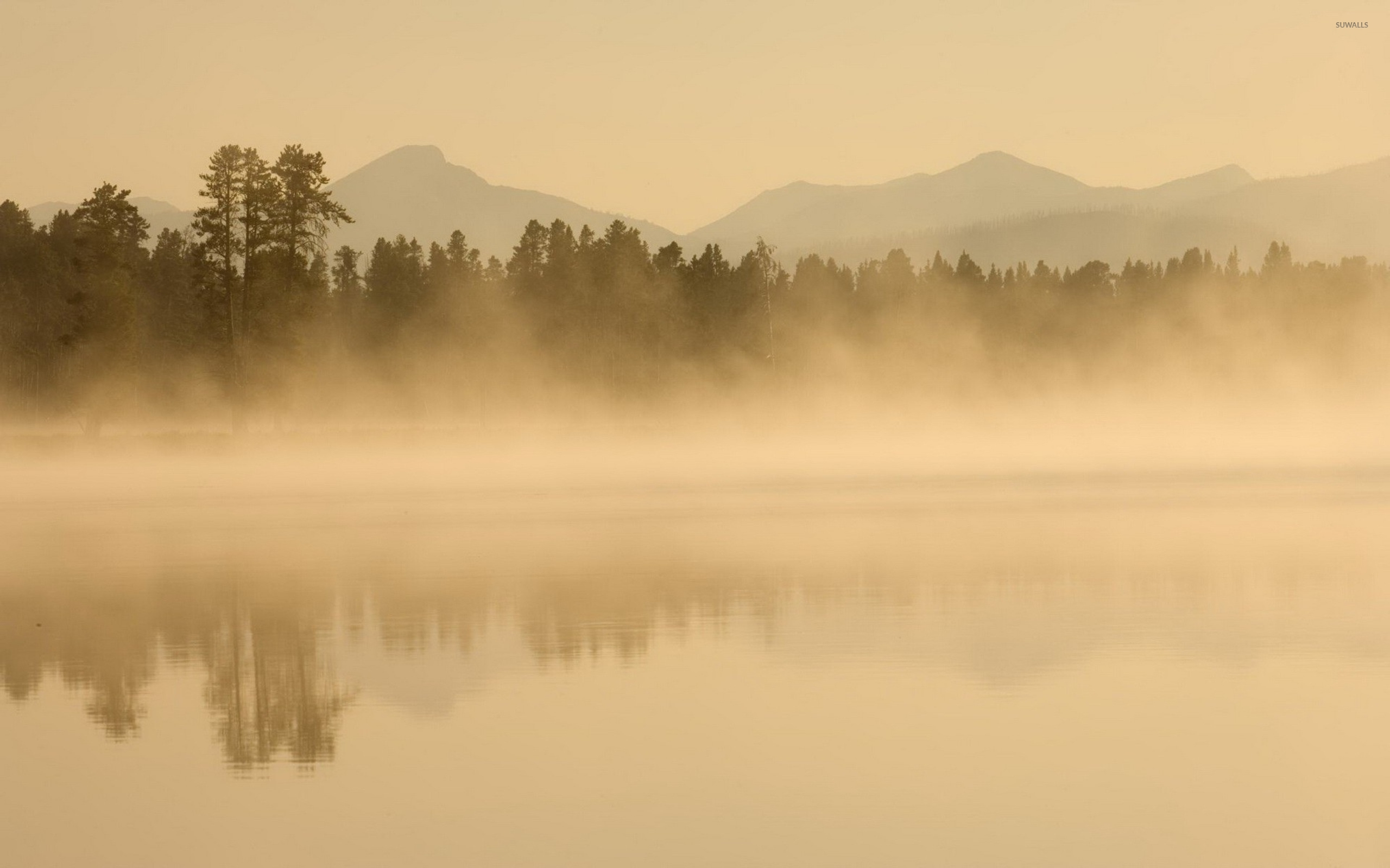 Foggy Lake Wallpapers