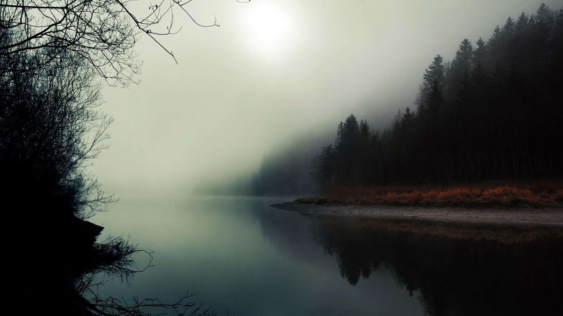 Foggy Scenery Wallpapers
