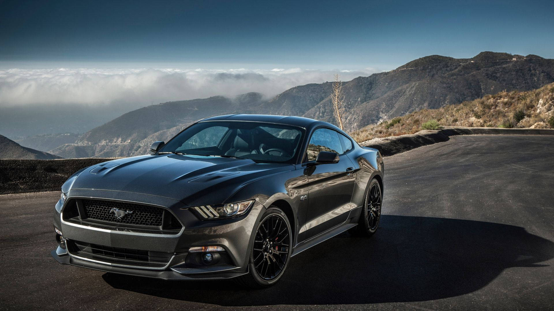 Ford Mustang 2015 Wallpapers