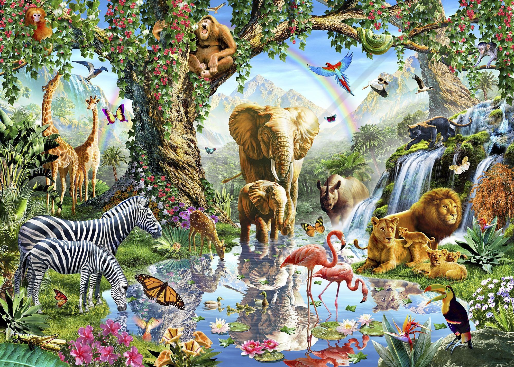 Forest Animals Wallpapers