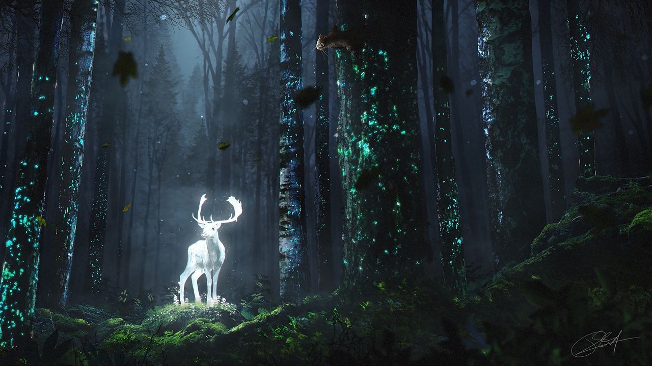 Forest Deer Wallpapers