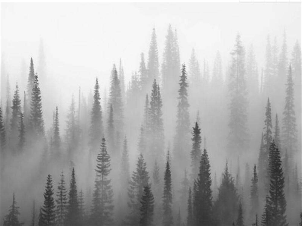 Forest Grey Wallpapers