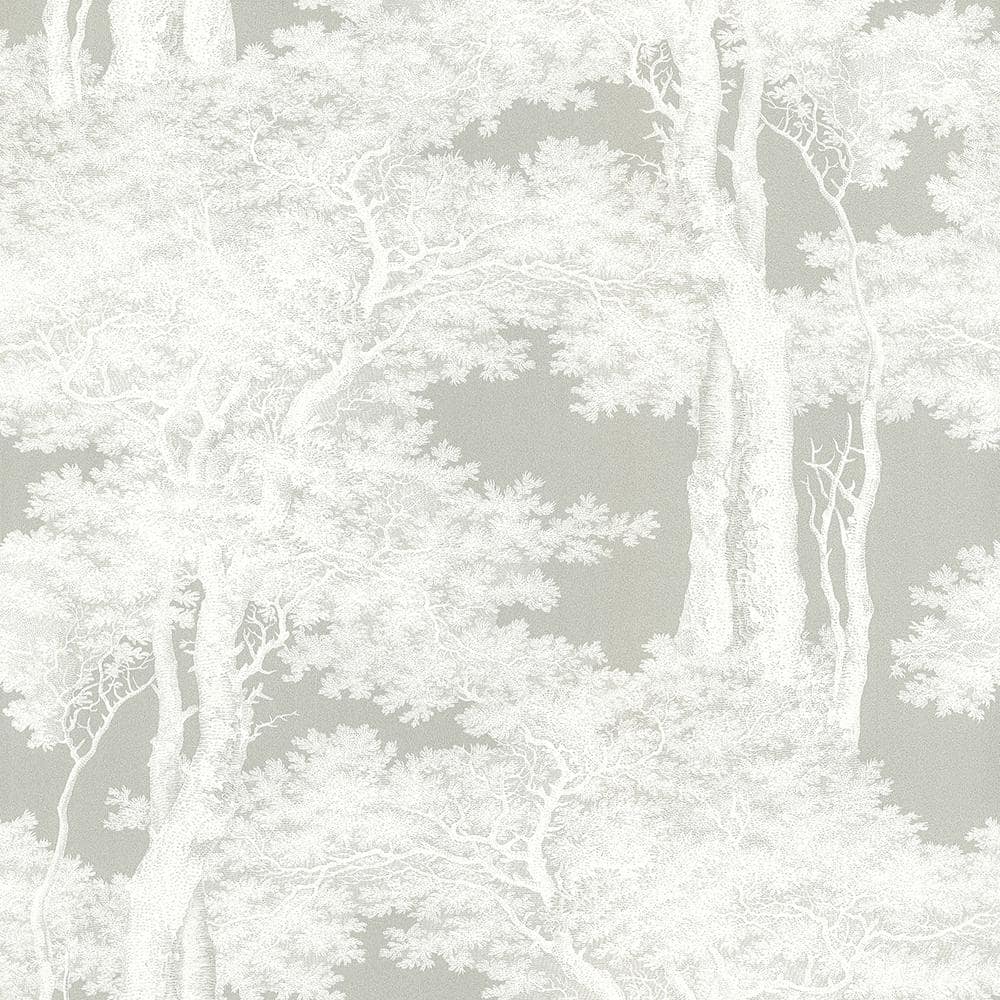 Forest Grey Wallpapers