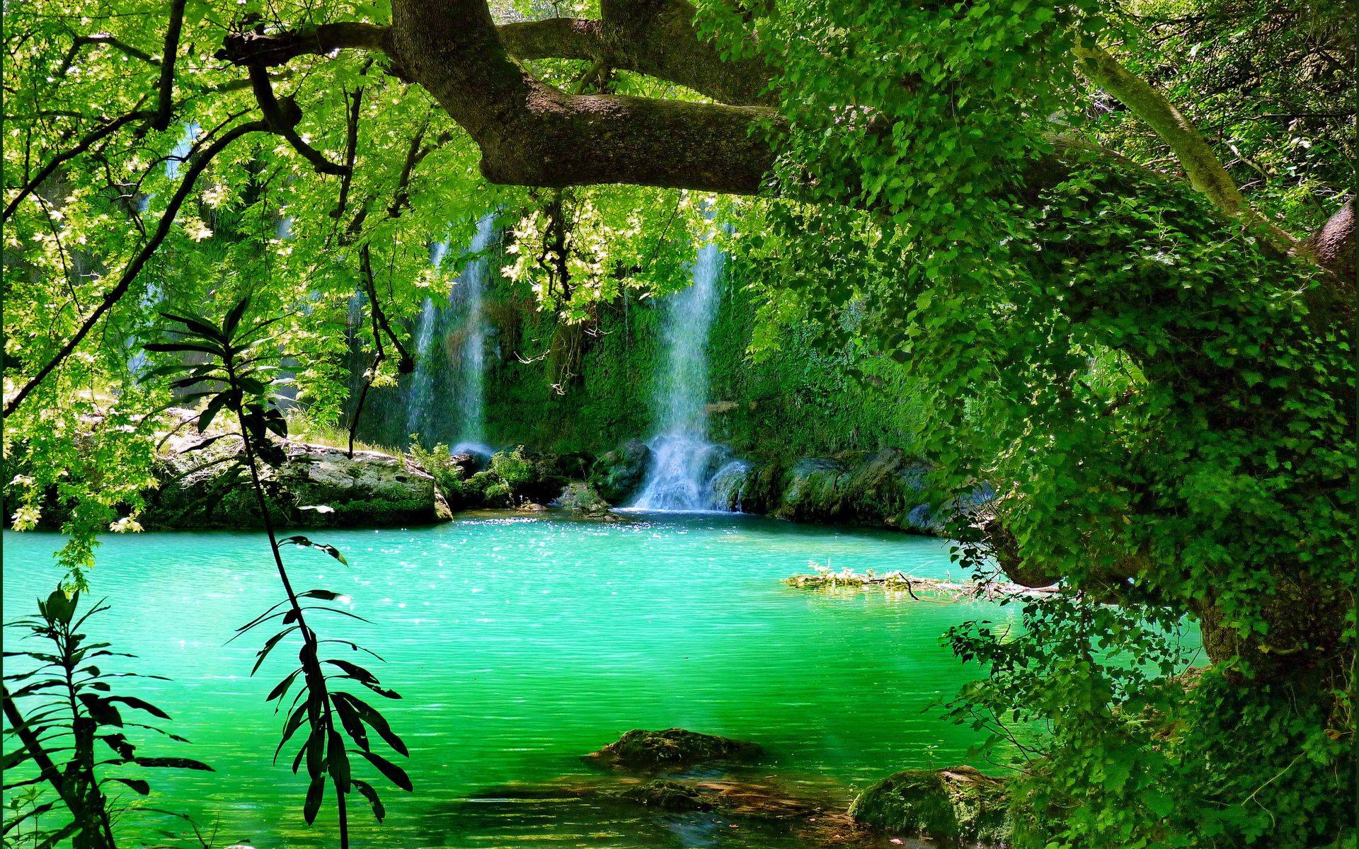Forest Waterfalls Wallpapers