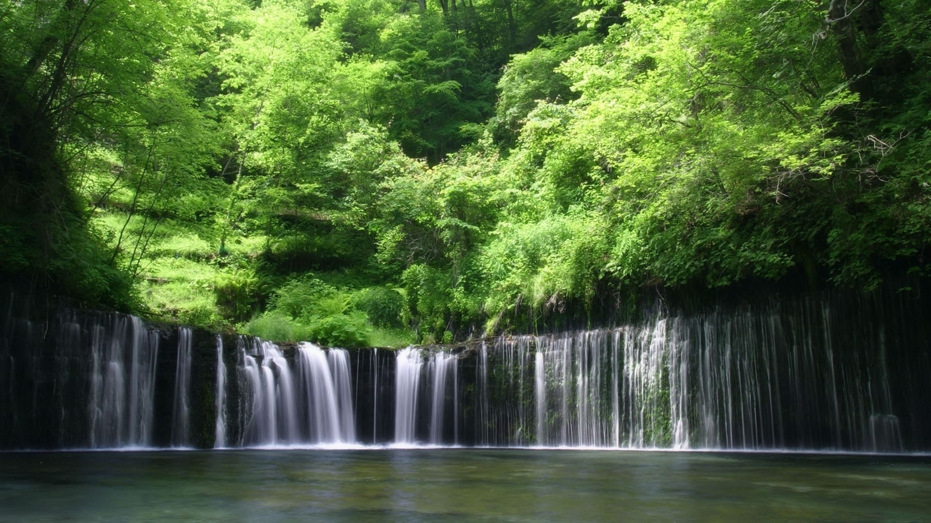 Forest Waterfalls Wallpapers