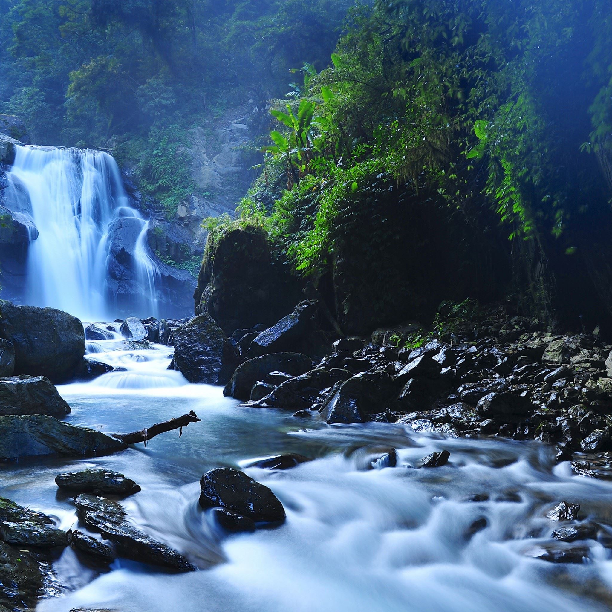 Forest Waterfalls Wallpapers