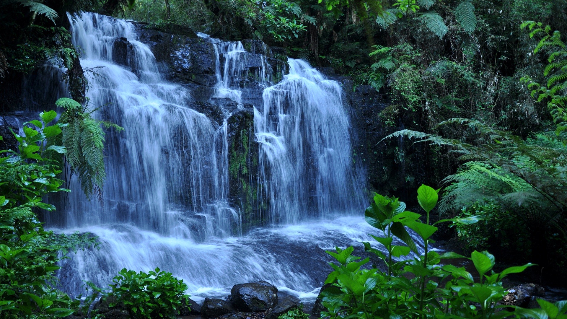 Forest Waterfalls Wallpapers