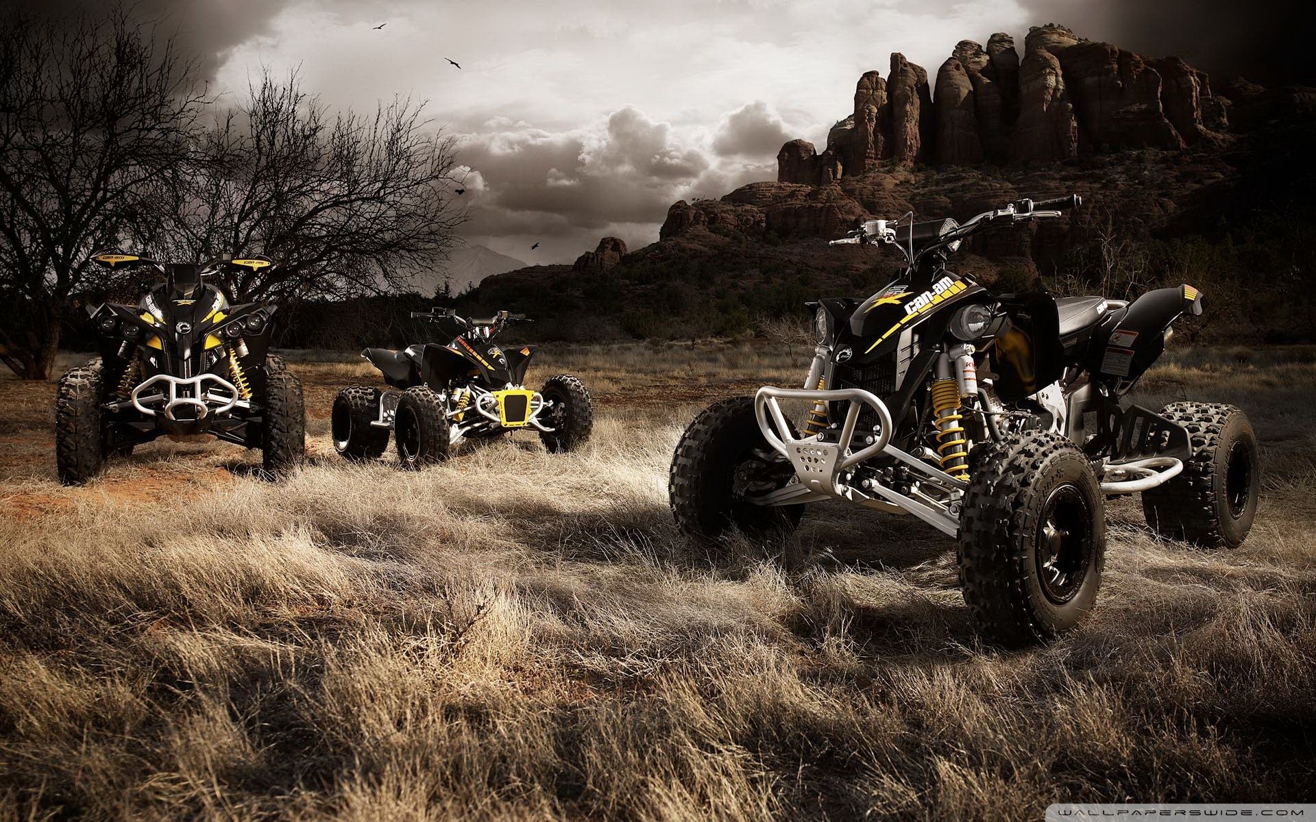 Four Wheelers Wallpapers