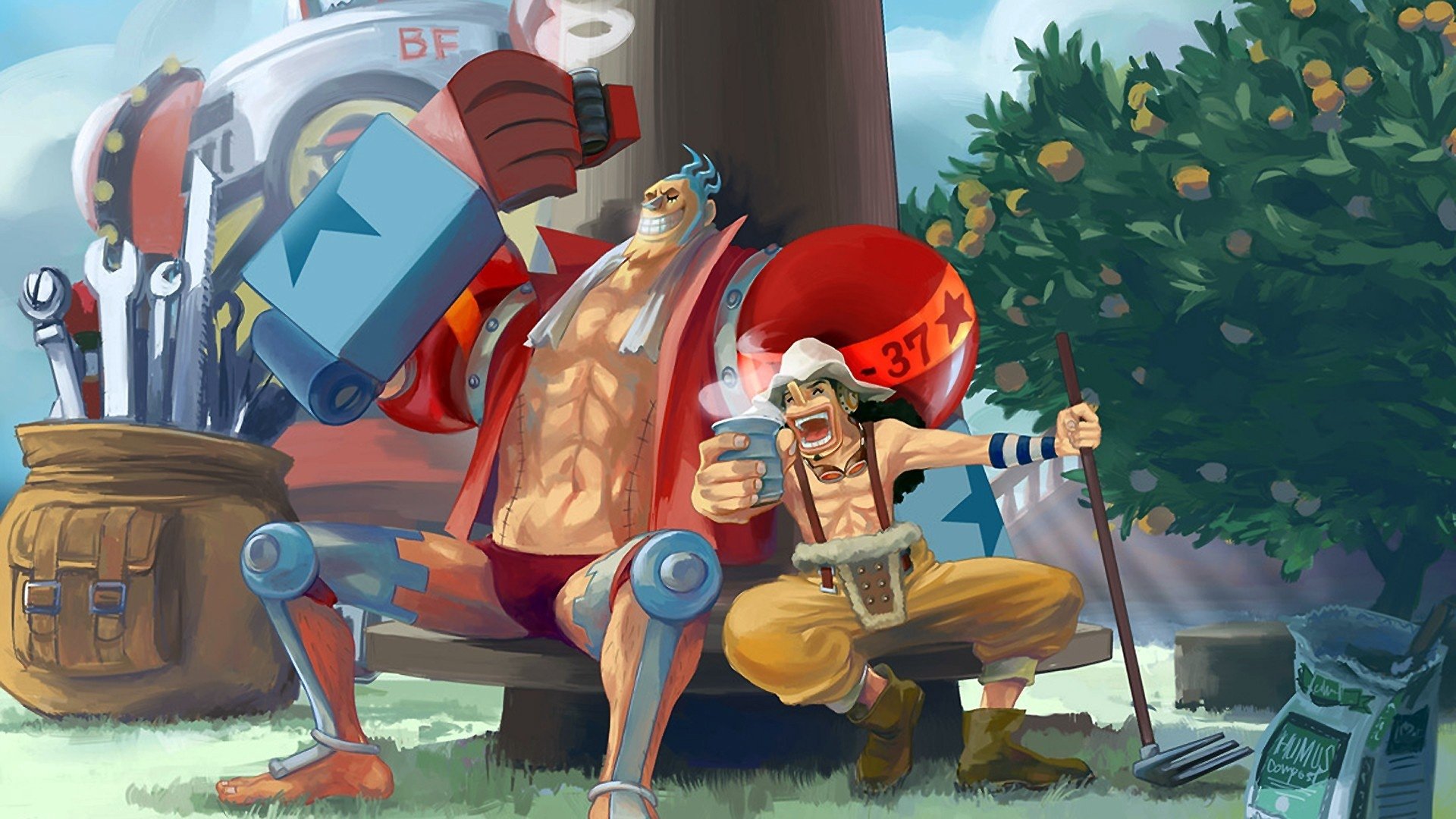 Franky One Piece Wallpapers