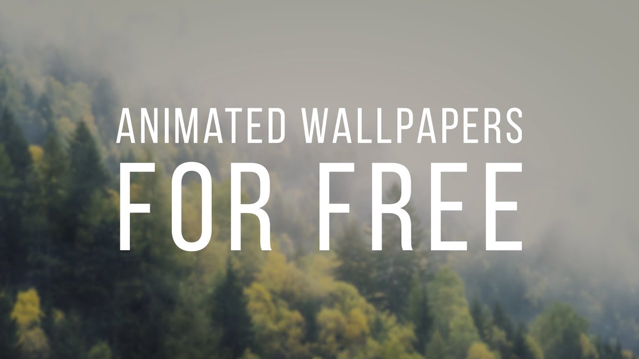 Free Animated Wallpapers