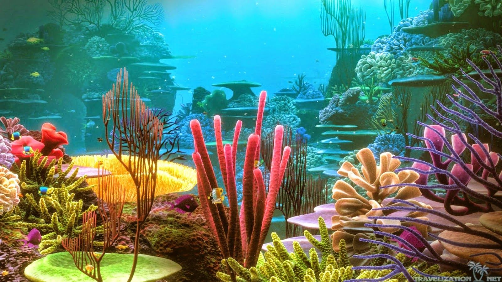 Free Fish And Coral Wallpapers