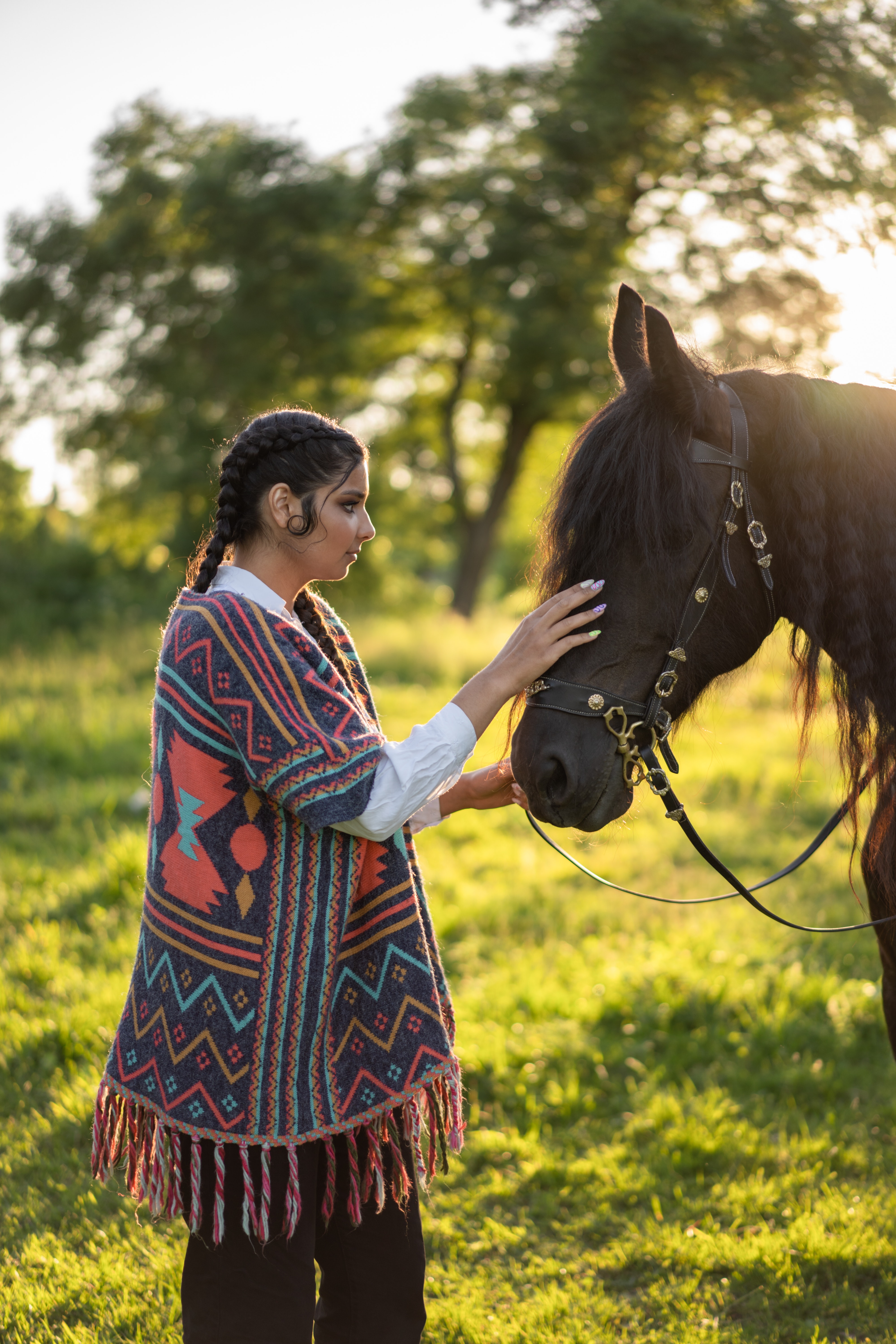 Free Rein Wallpapers