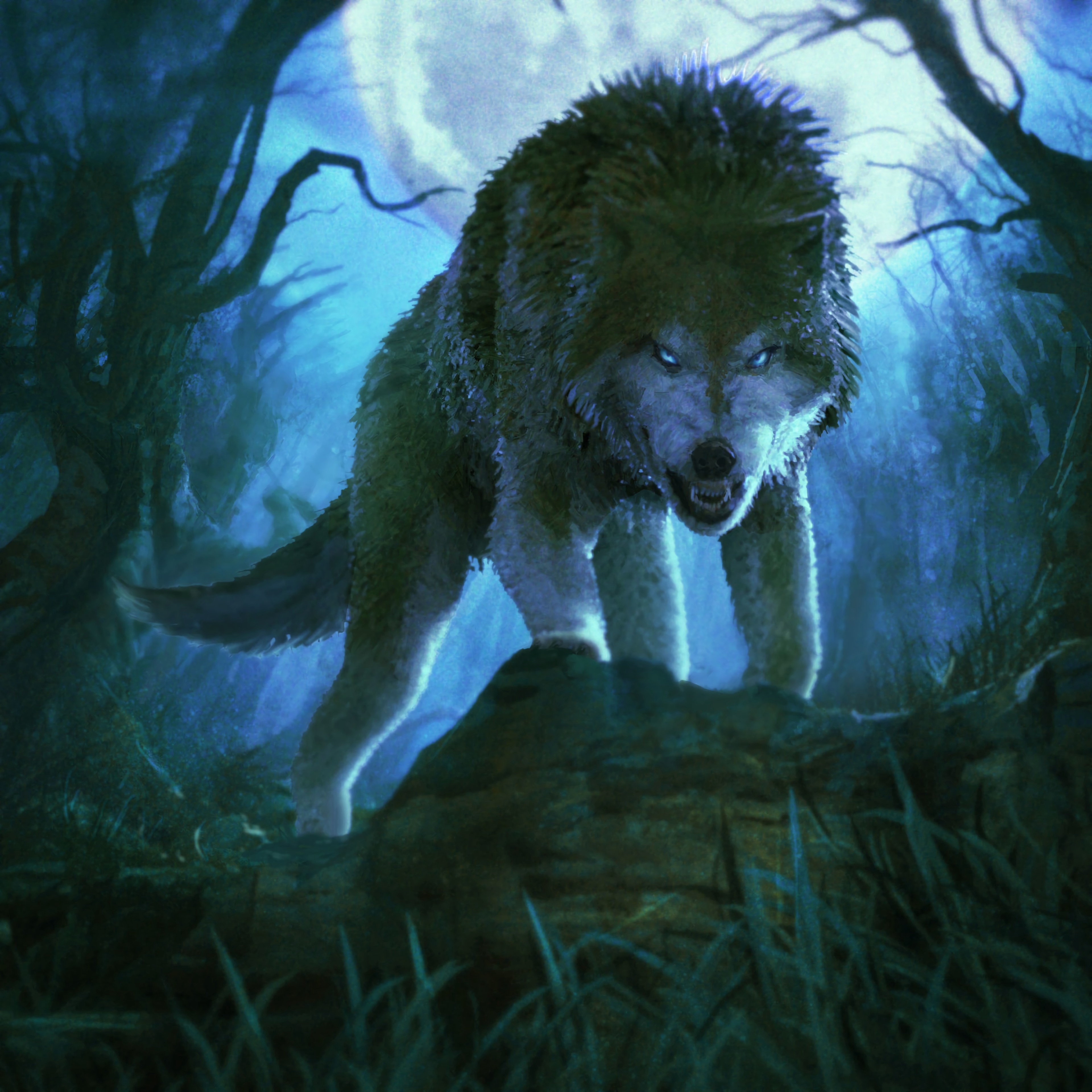 Free Wolf For Android Wallpapers