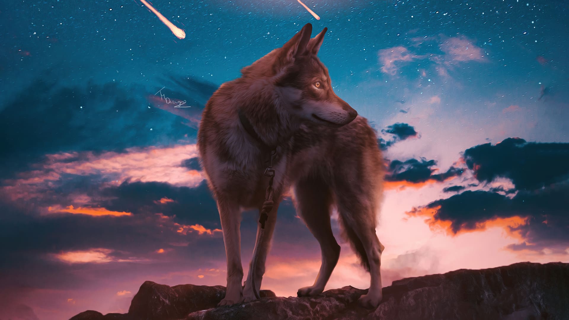 Free Wolf For Android Wallpapers