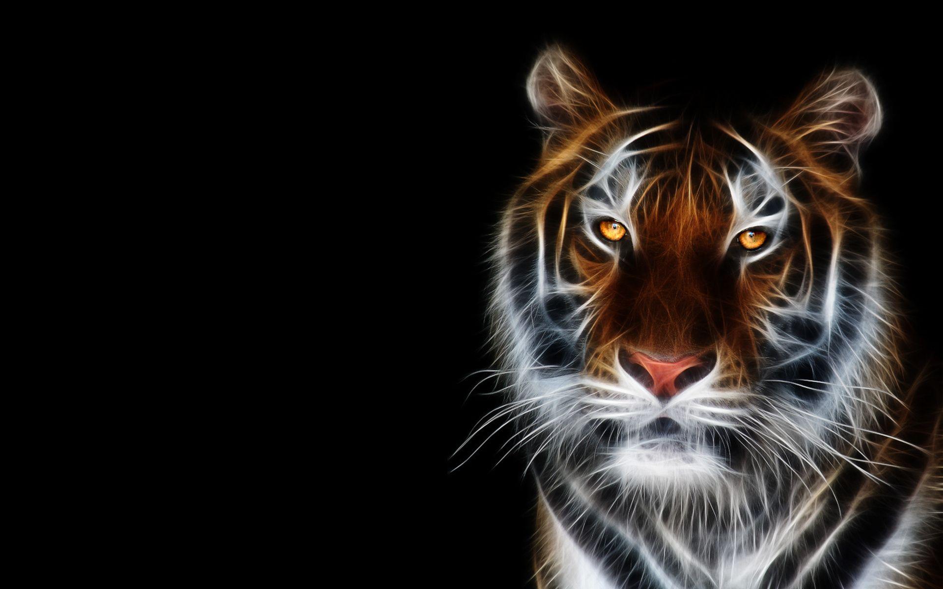 Full Hd Tiger 3D Wallpapers