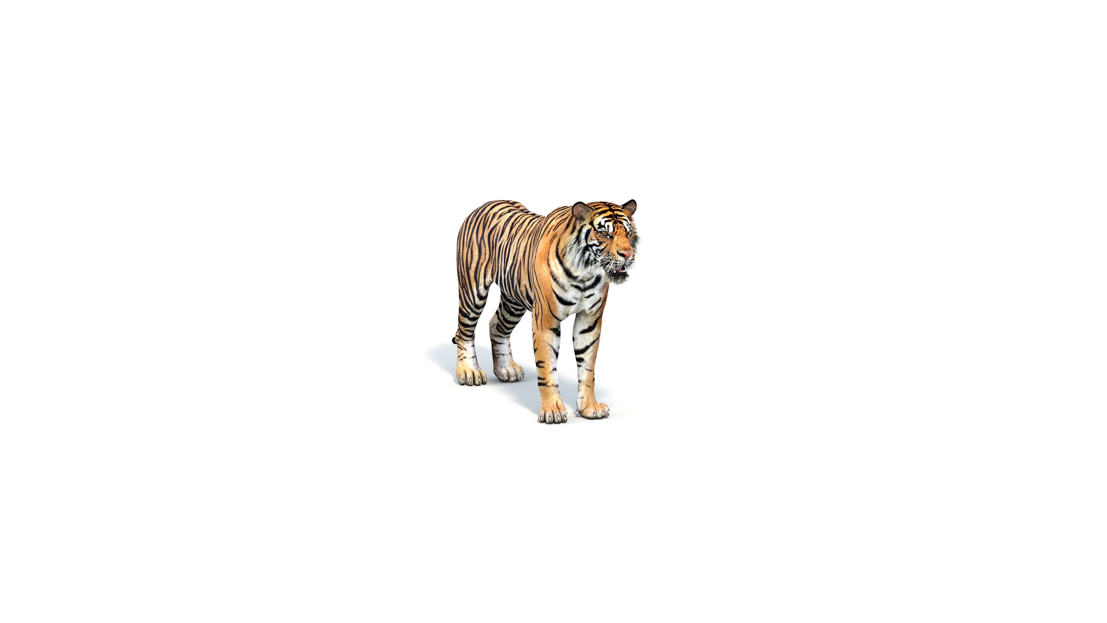 Full Hd Tiger 3D Wallpapers