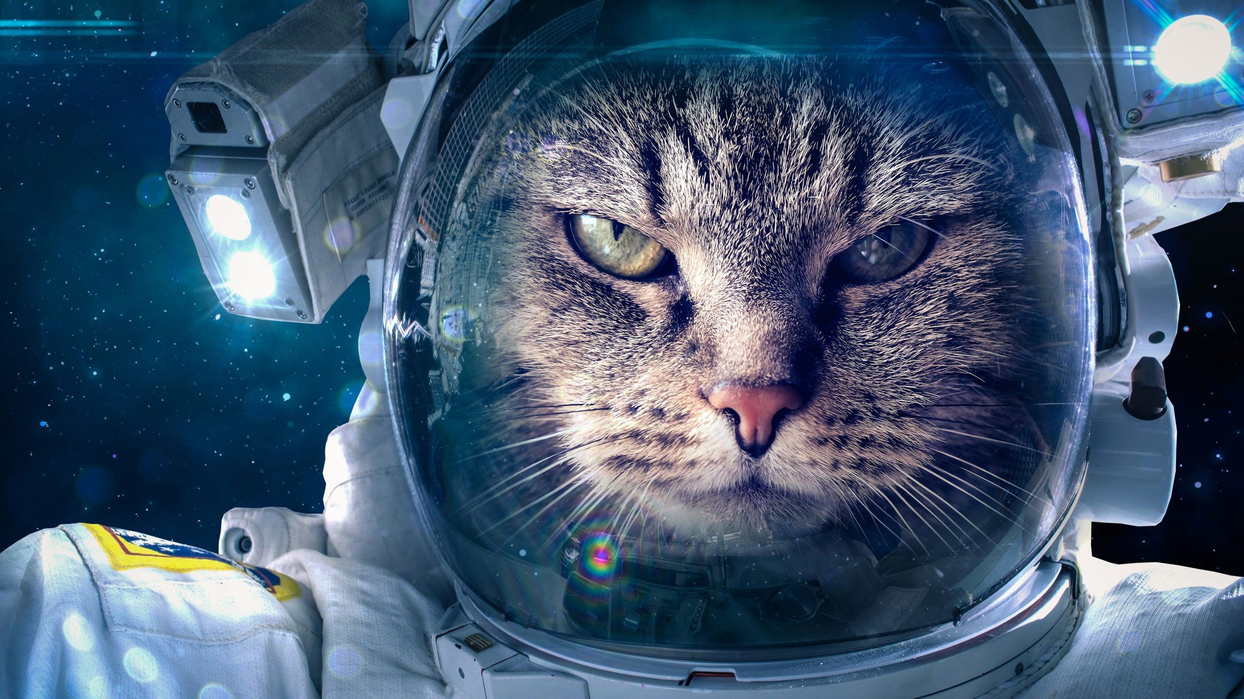 Funny Astronaut Wallpapers