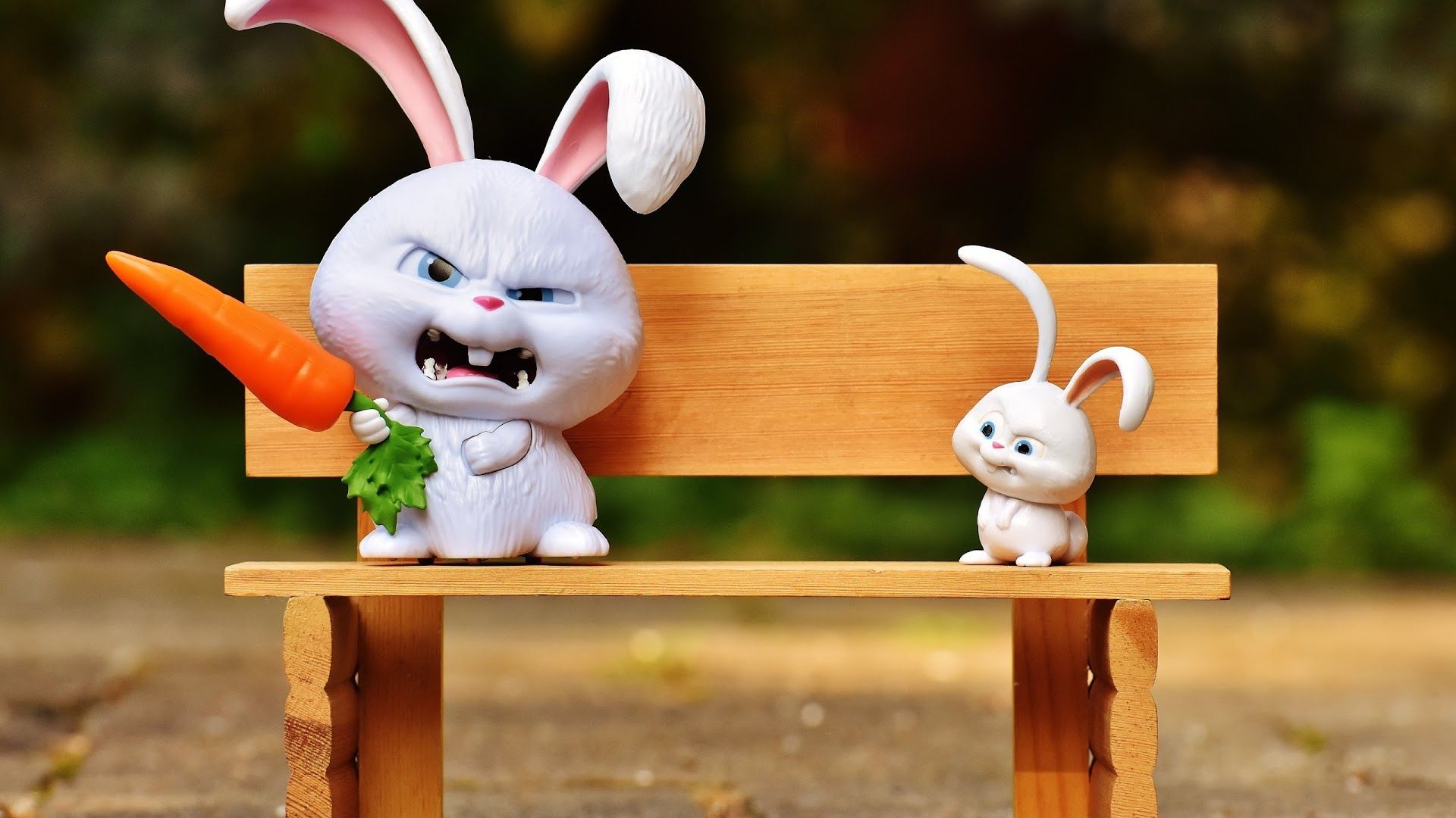 Funny Bunny Pics Wallpapers