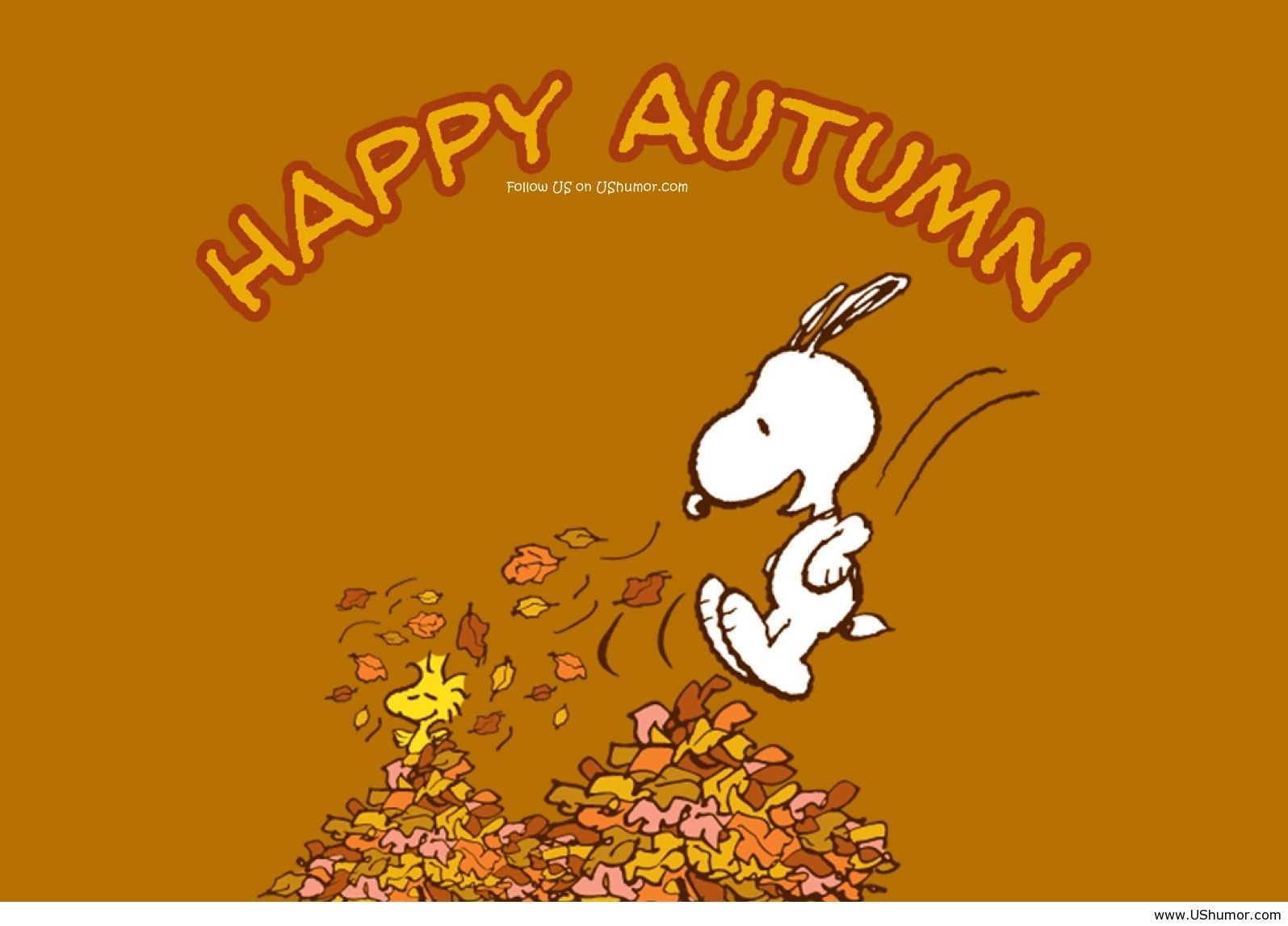 Funny Fall Wallpapers