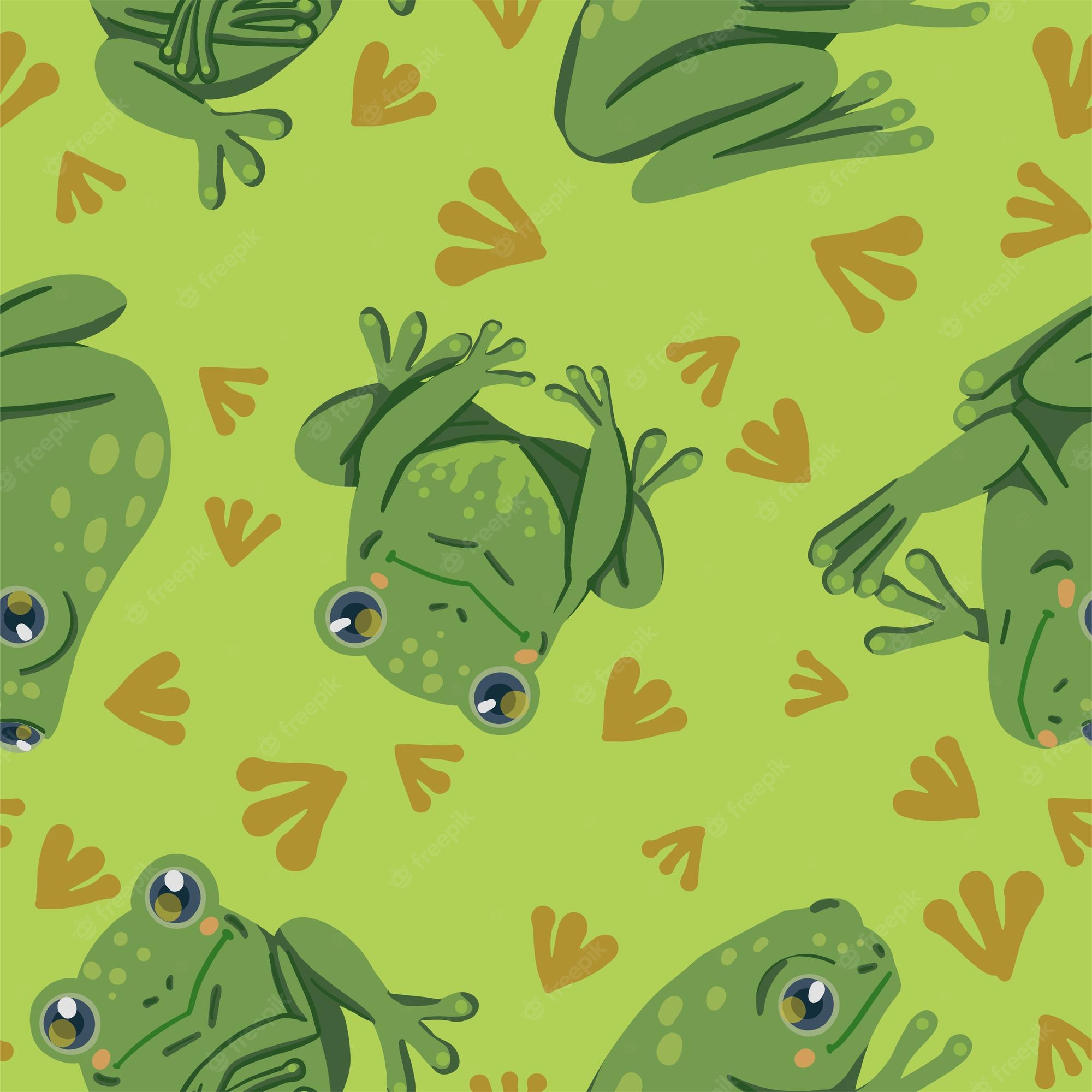 Funny Frogs Wallpapers