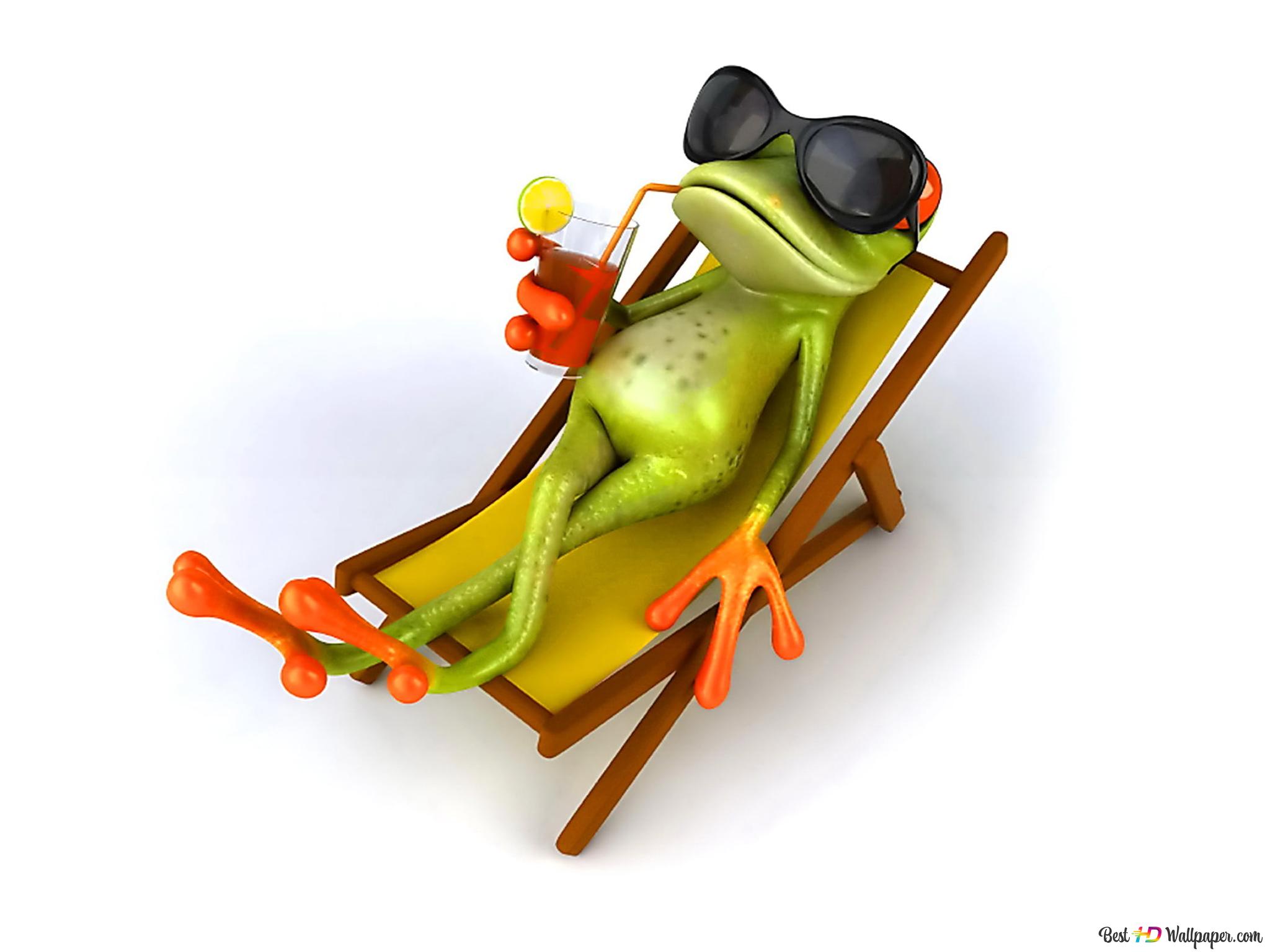 Funny Frogs Wallpapers