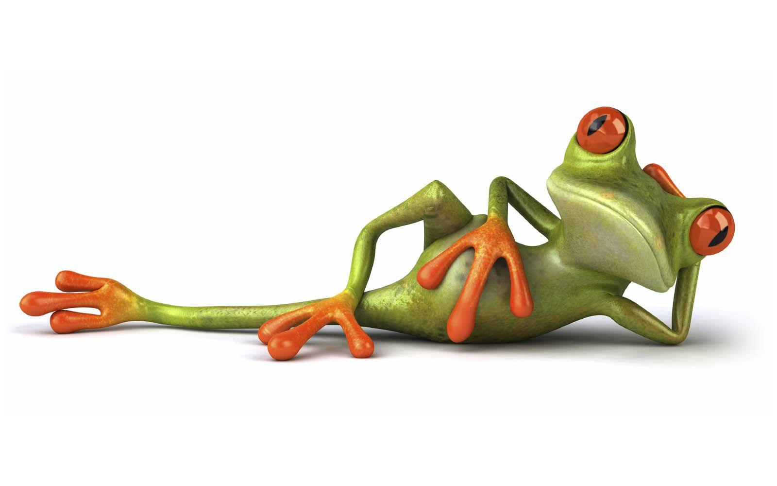 Funny Frogs Wallpapers