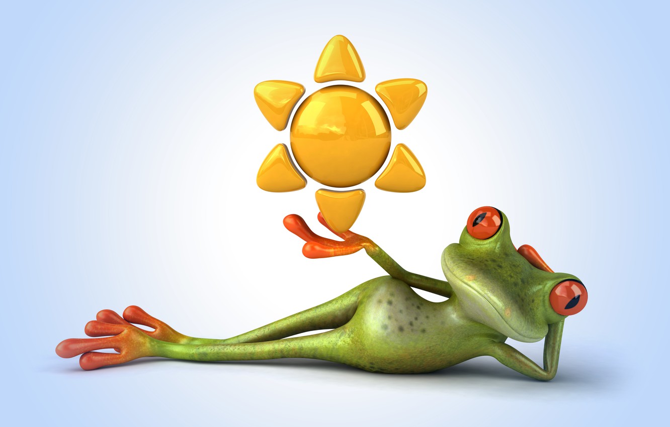 Funny Frogs Wallpapers