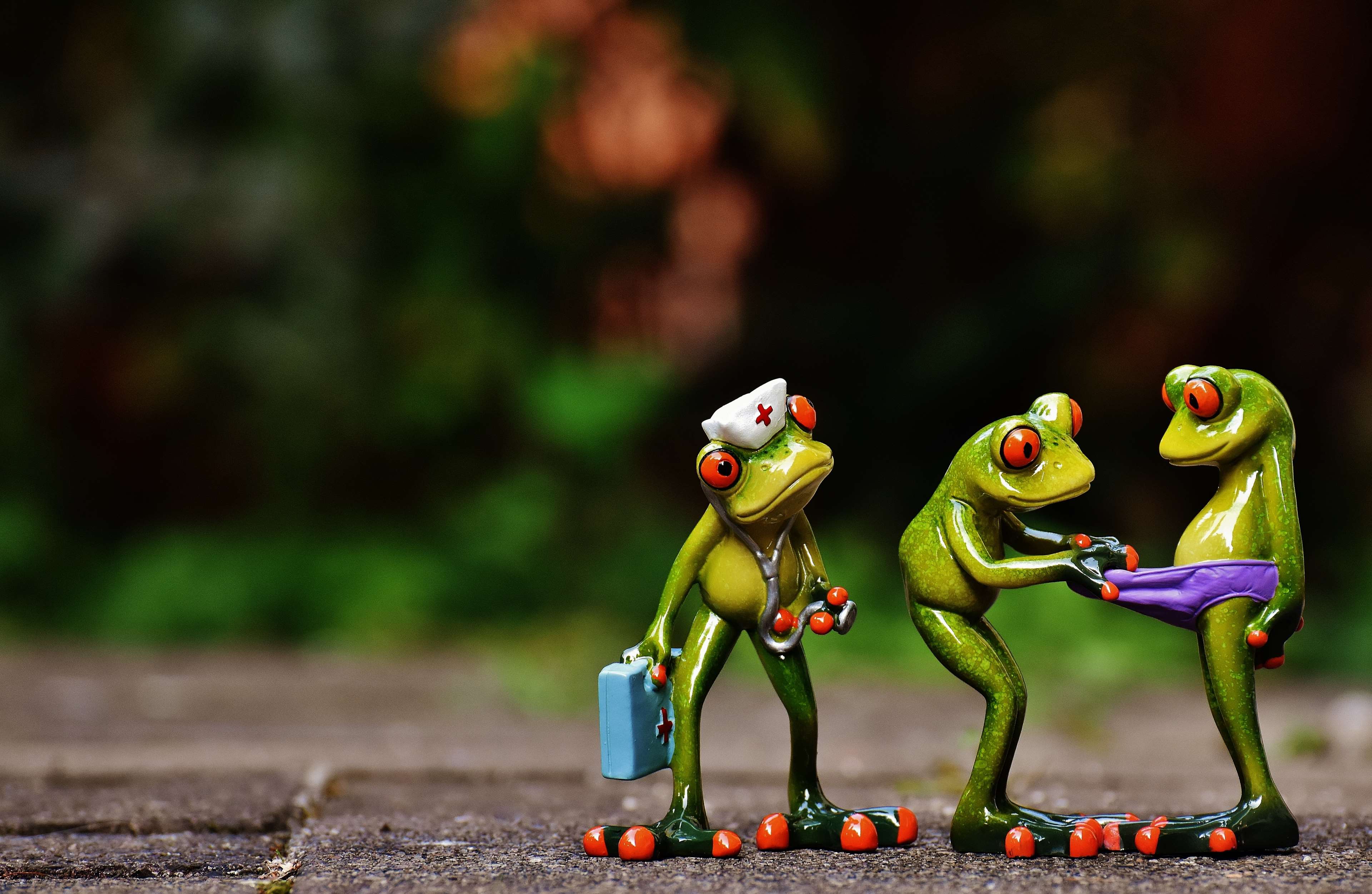 Funny Frogs Wallpapers