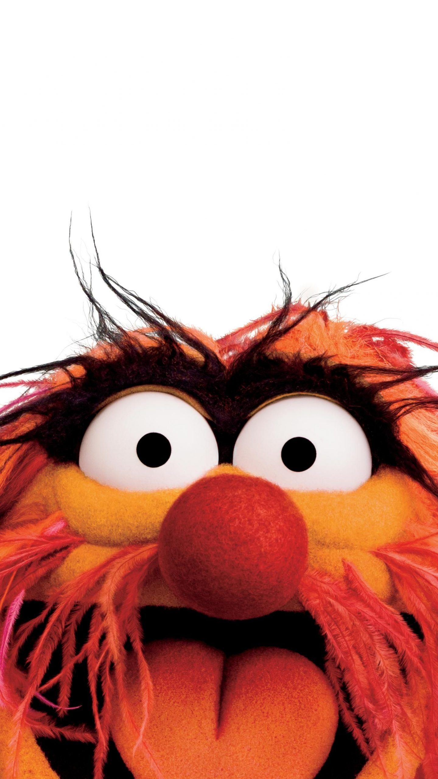 Funny Muppet Pics Wallpapers