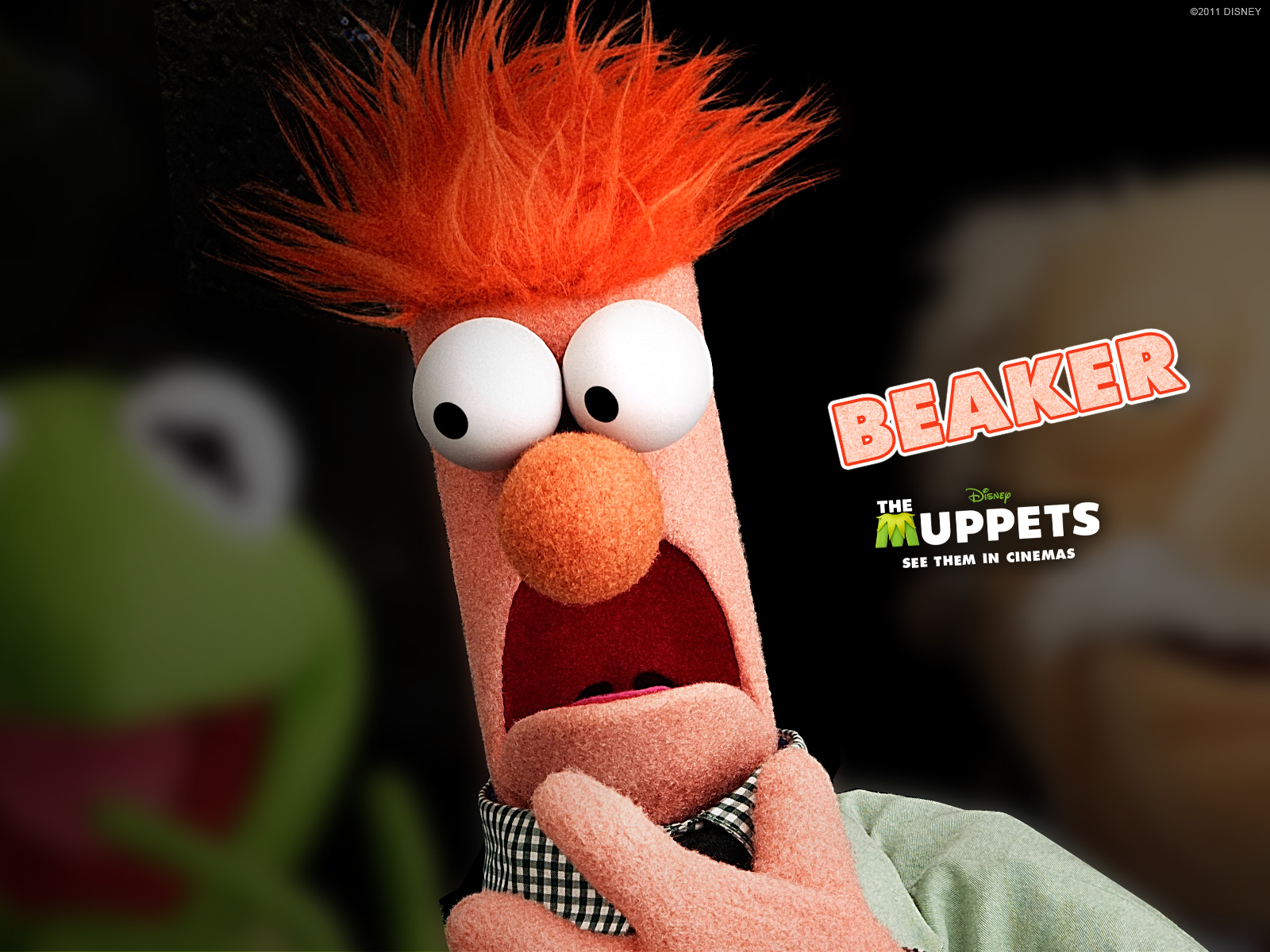 Funny Muppet Pics Wallpapers