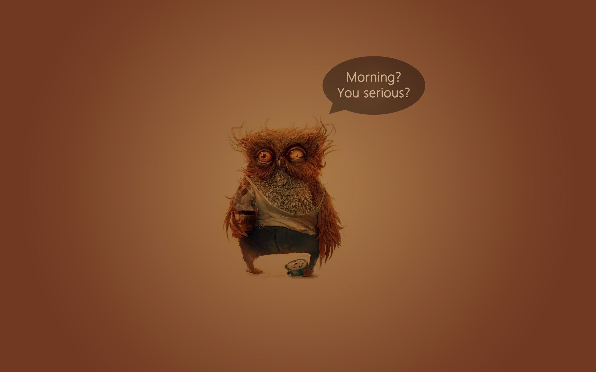 Funny Owl Pictures Wallpapers