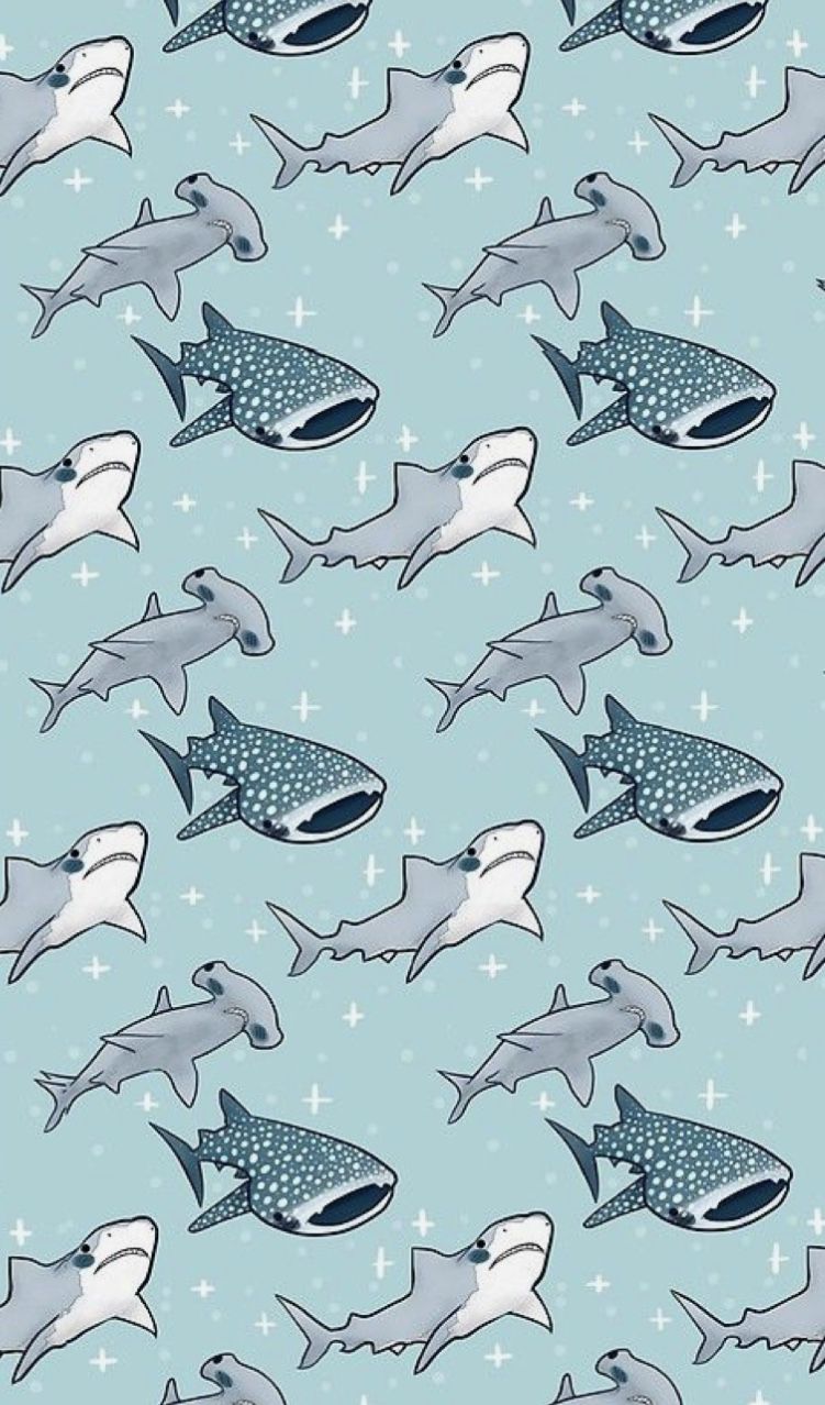 Funny Shark Wallpapers