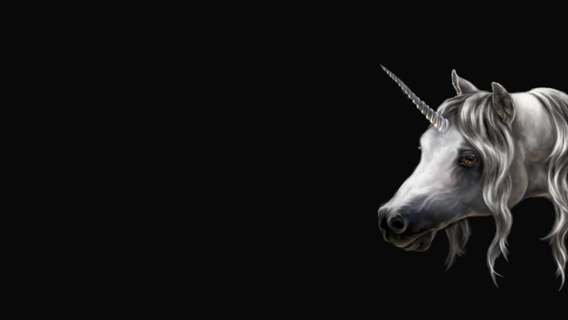 Funny Unicorn Wallpapers