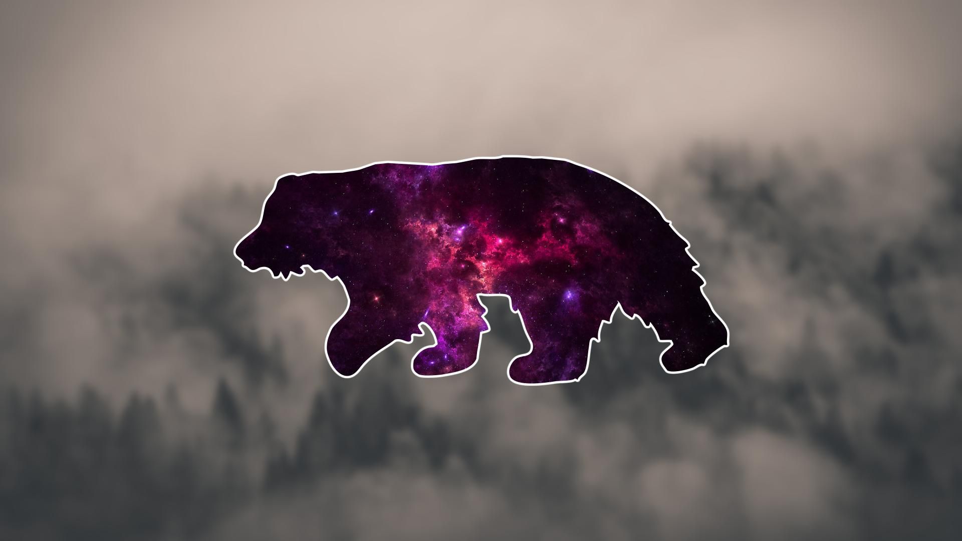 Galaxy Bear Wallpapers