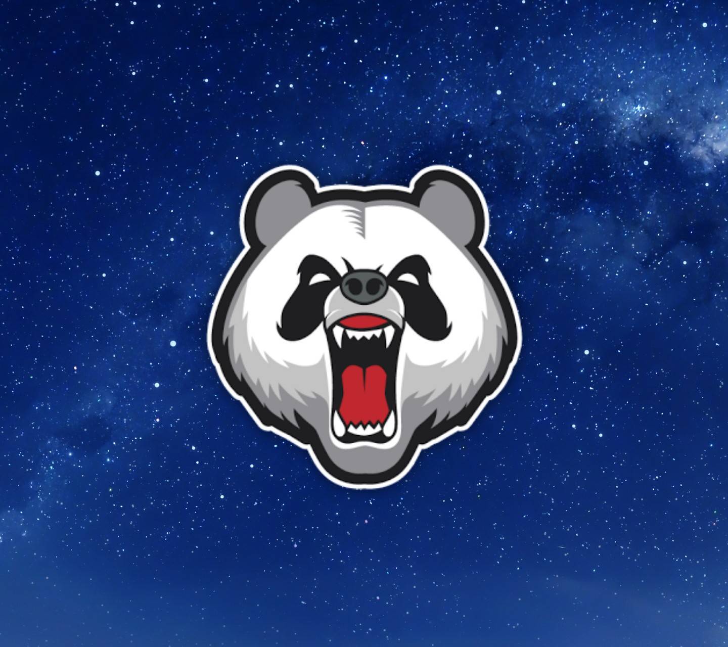 Galaxy Bear Wallpapers