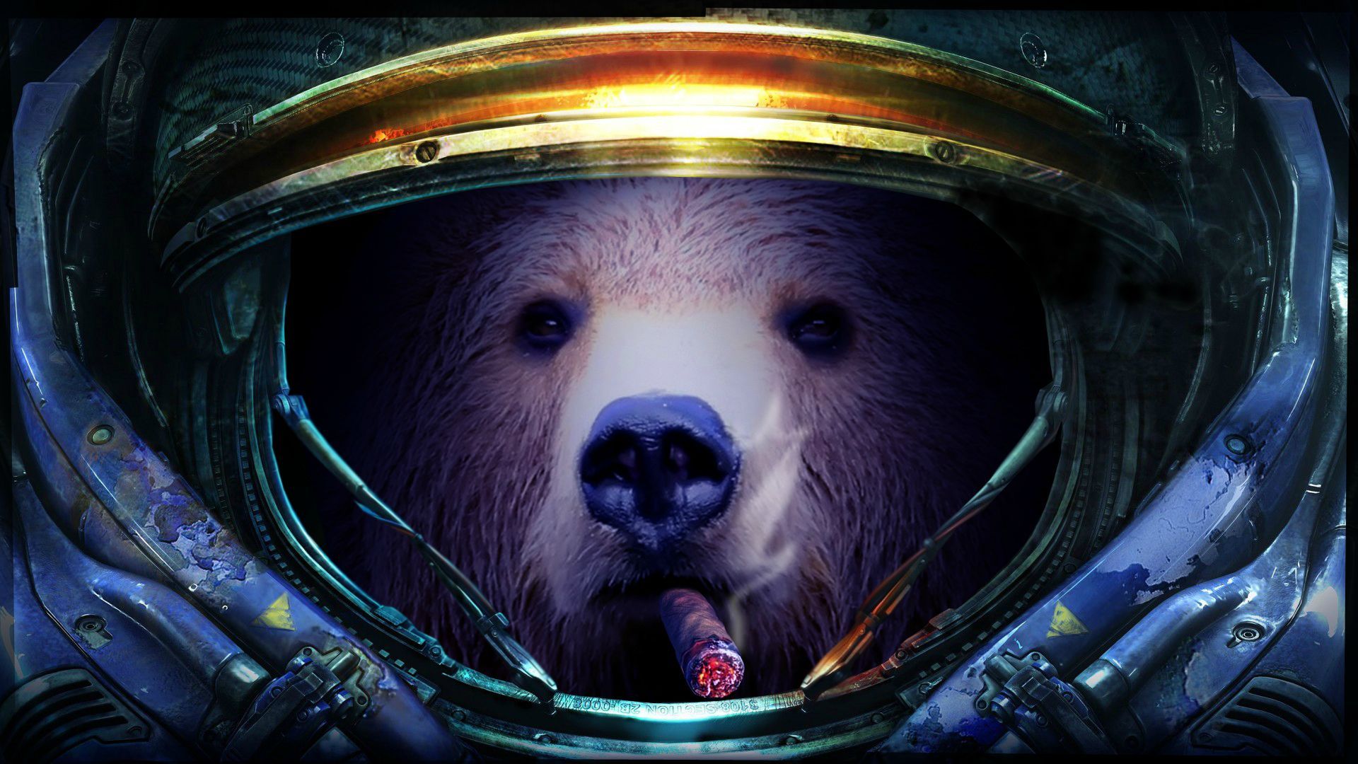 Galaxy Bear Wallpapers