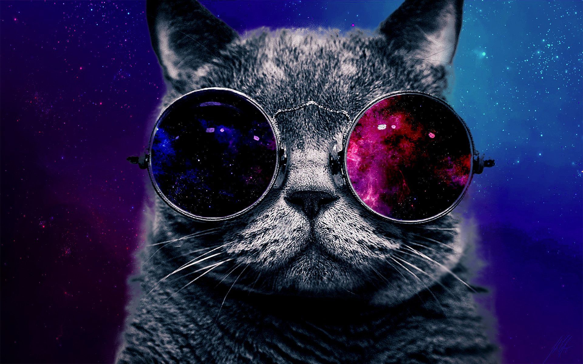 Galaxy Cat Wallpapers