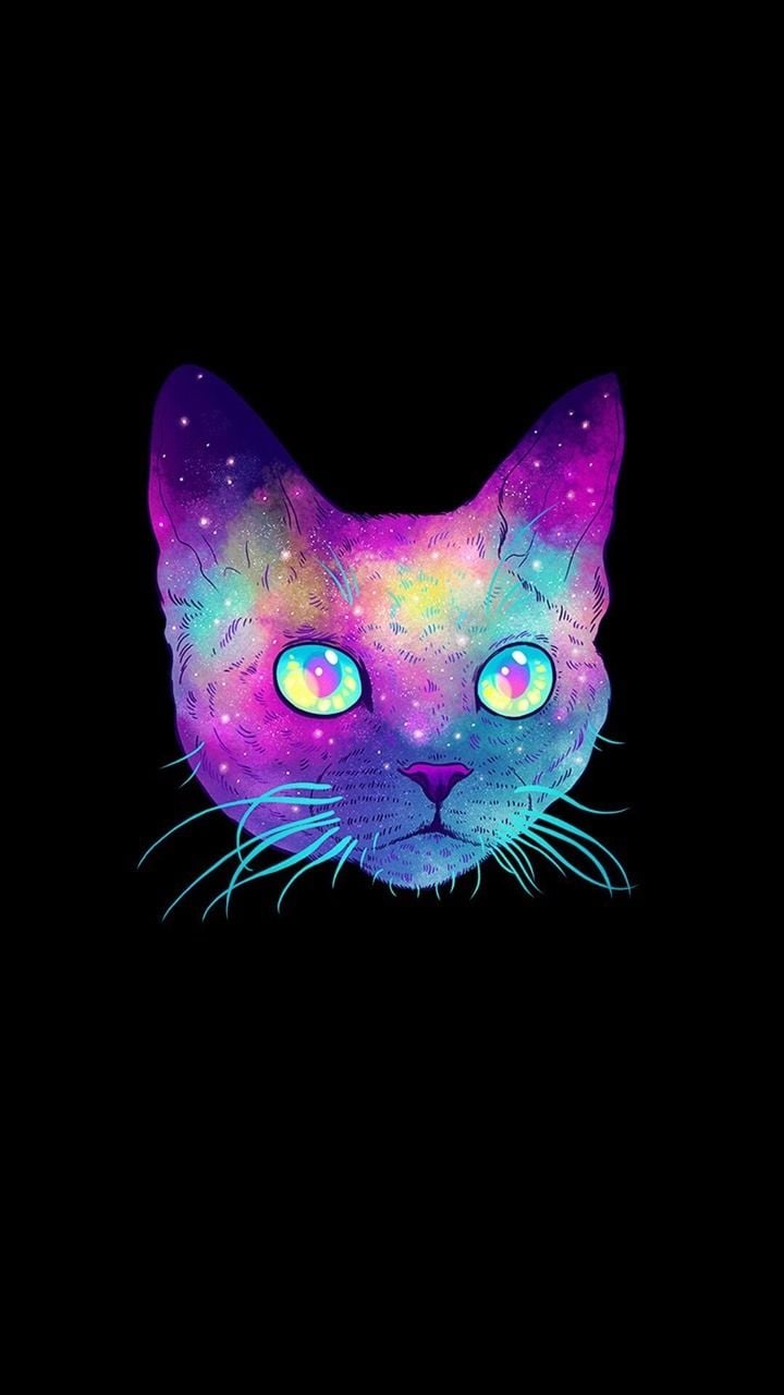 Galaxy Cat Wallpapers