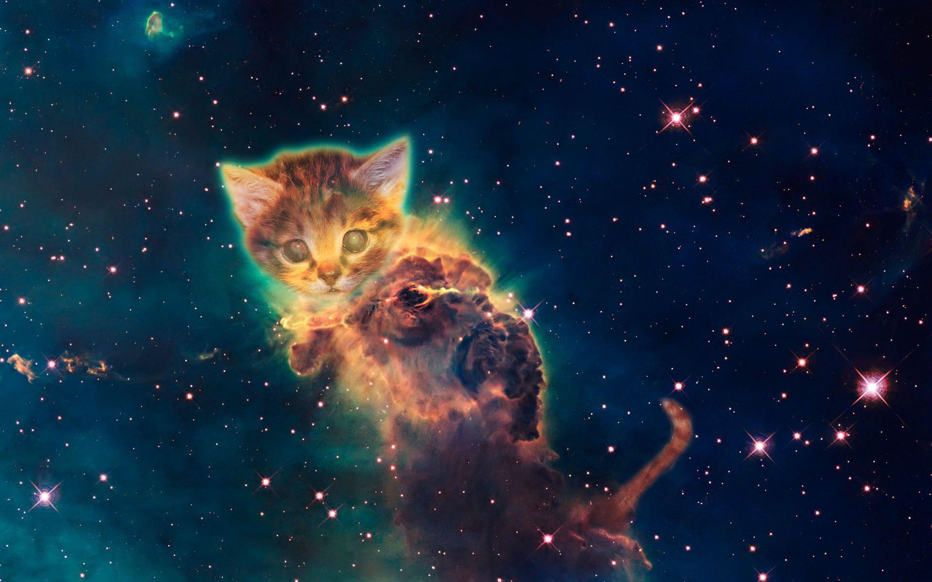 Galaxy Cat Wallpapers