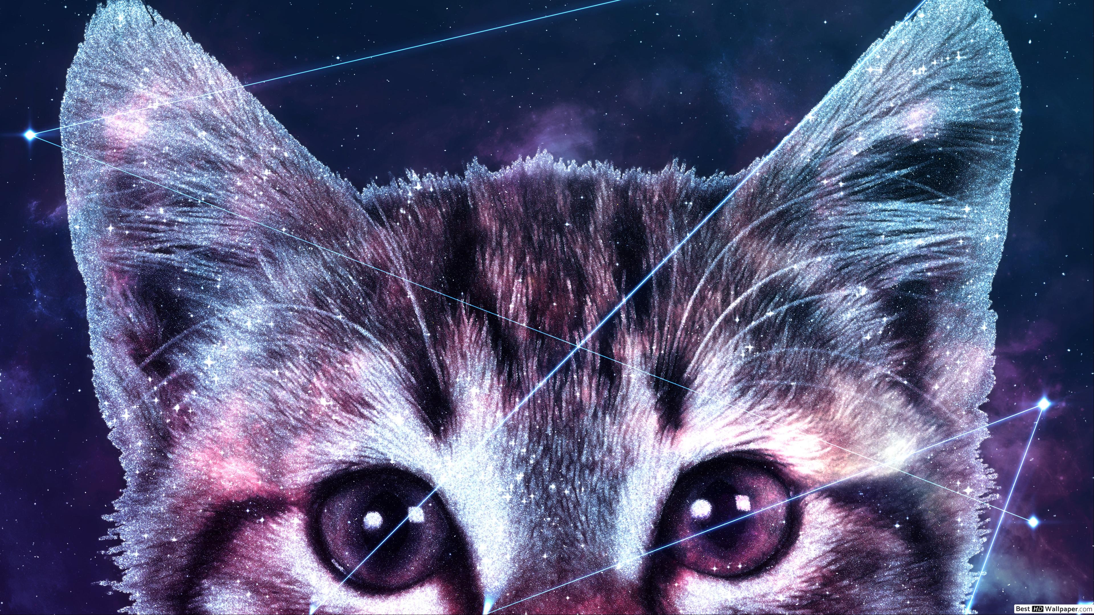 Galaxy Cat Wallpapers