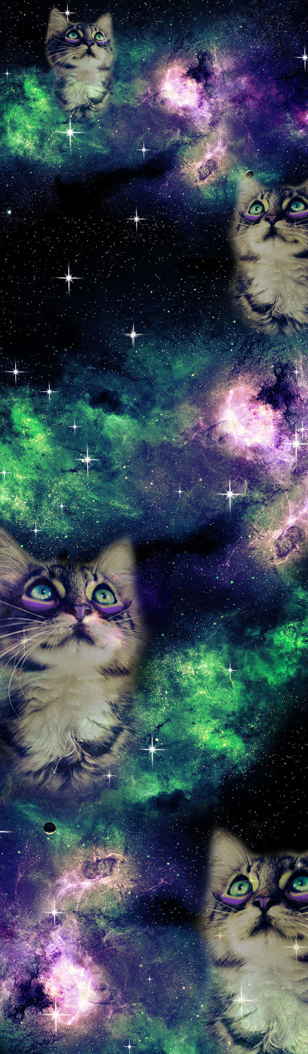 Galaxy Cat Wallpapers