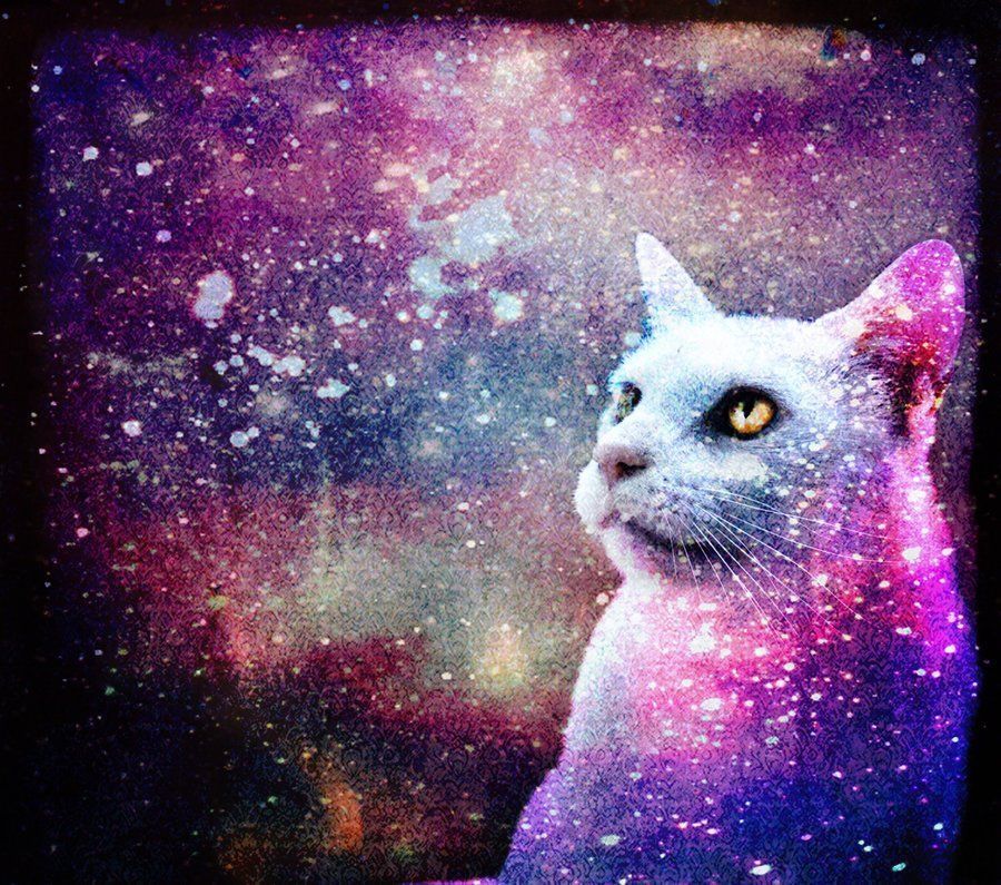 Galaxy Cat Wallpapers