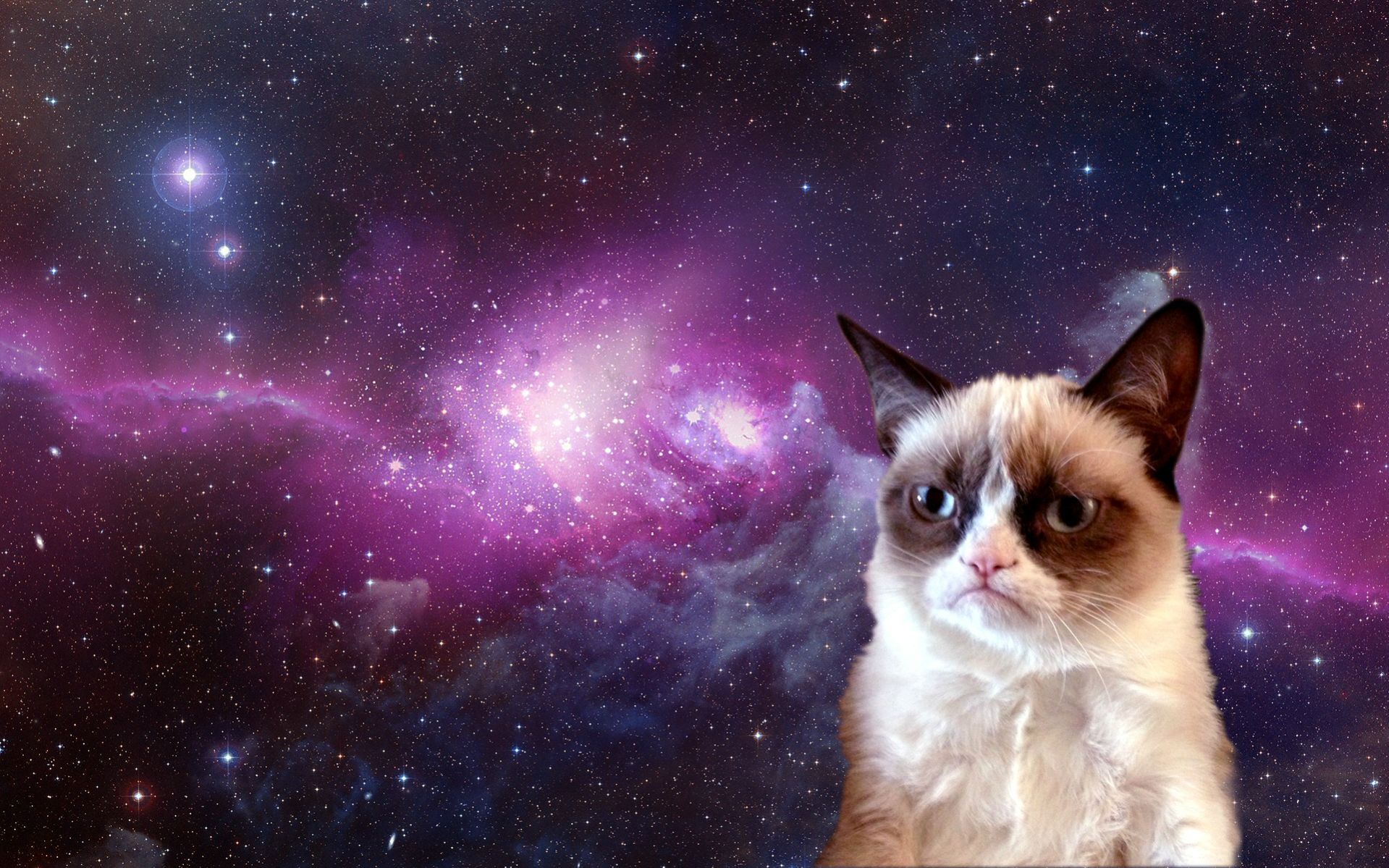 Galaxy Cat Wallpapers