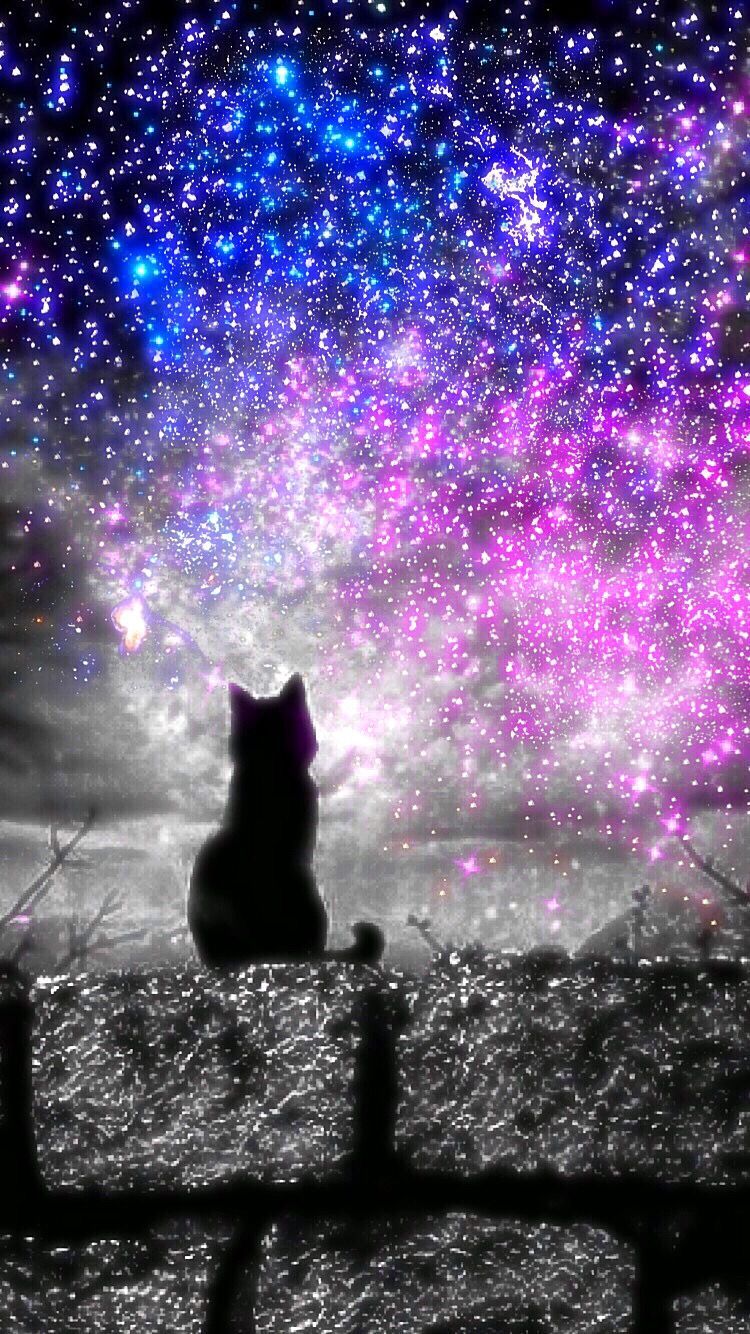 Galaxy Cat Wallpapers