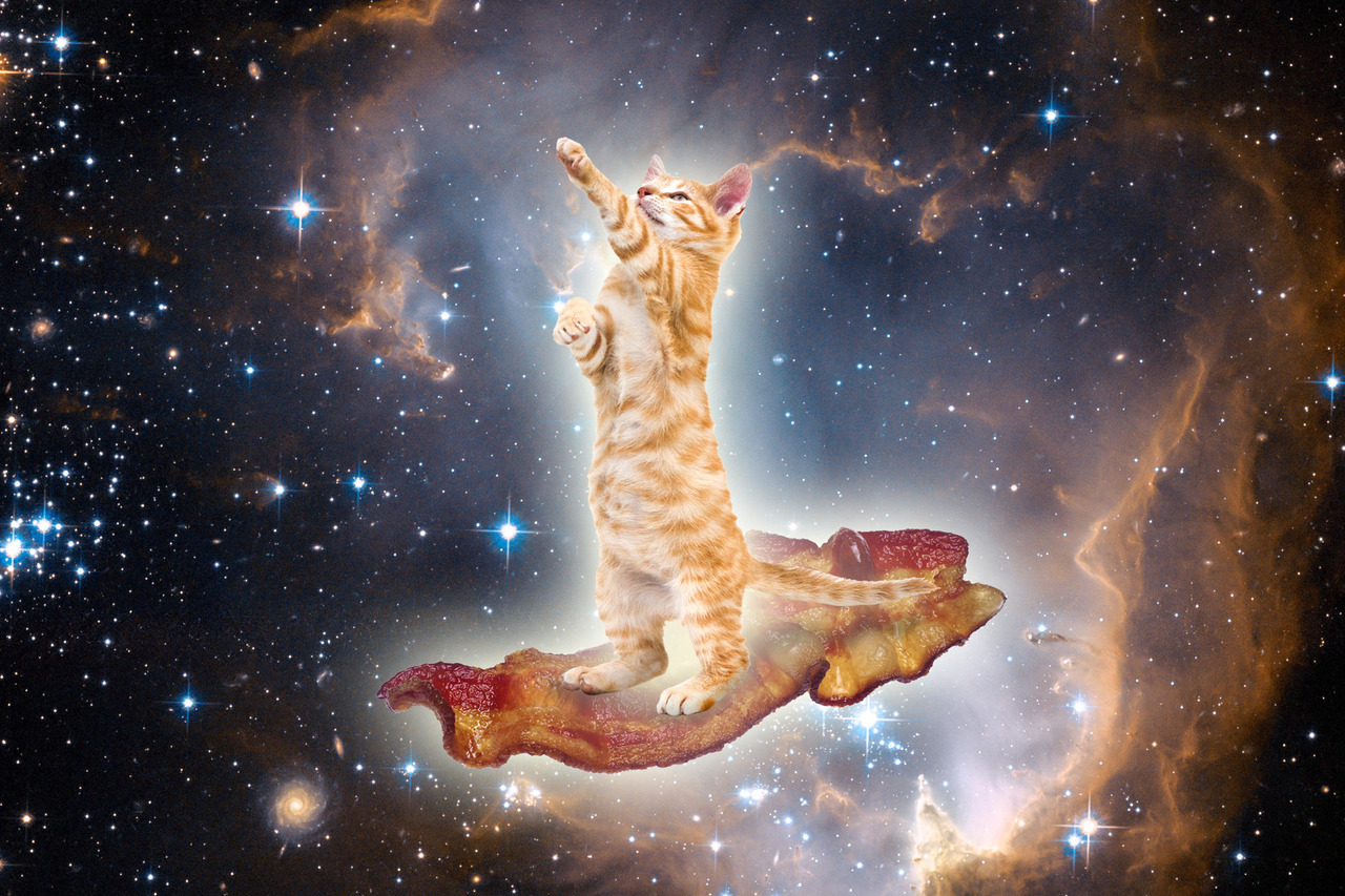 Galaxy Cat Wallpapers